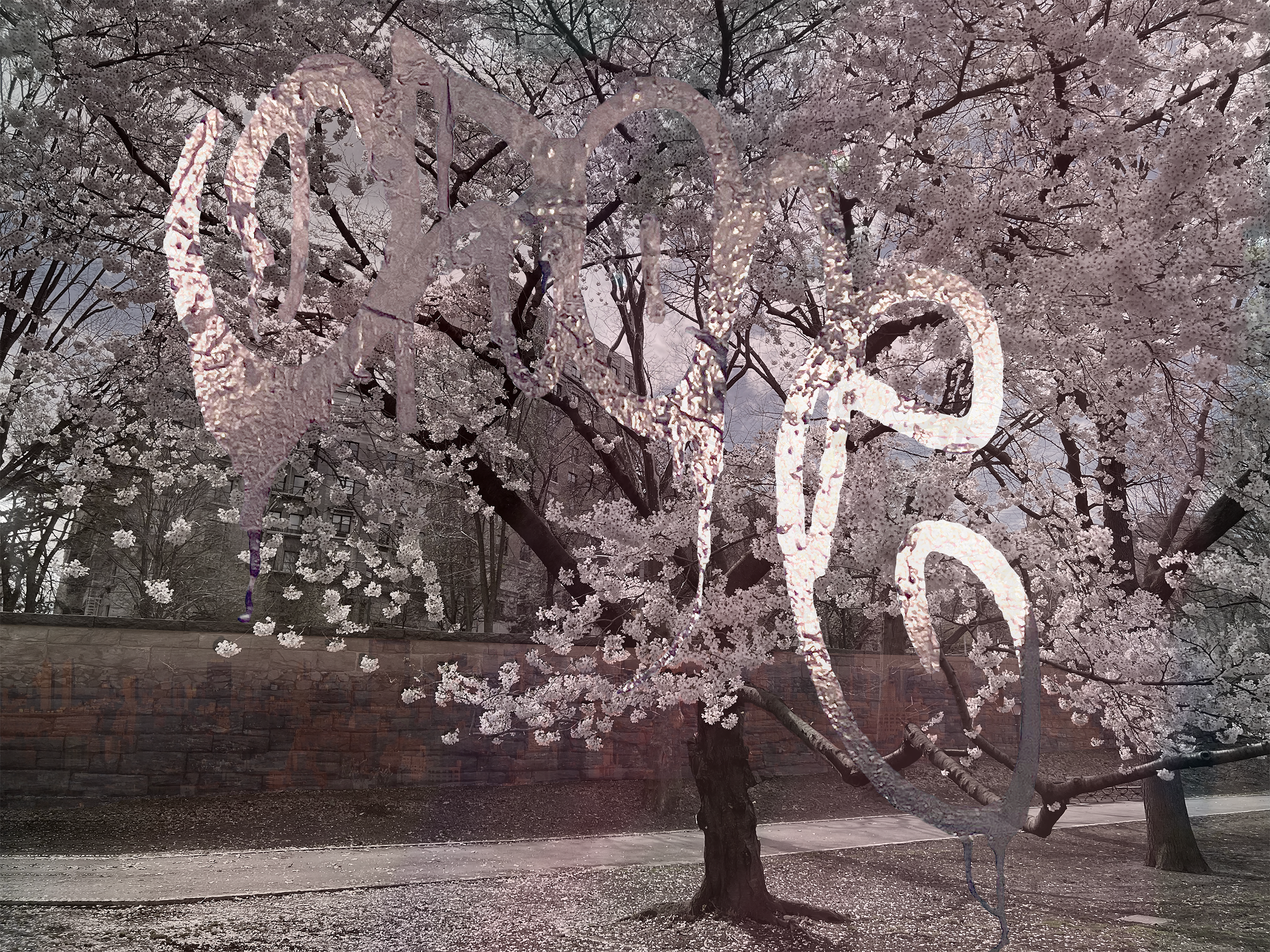 PINK SPRING SM.png