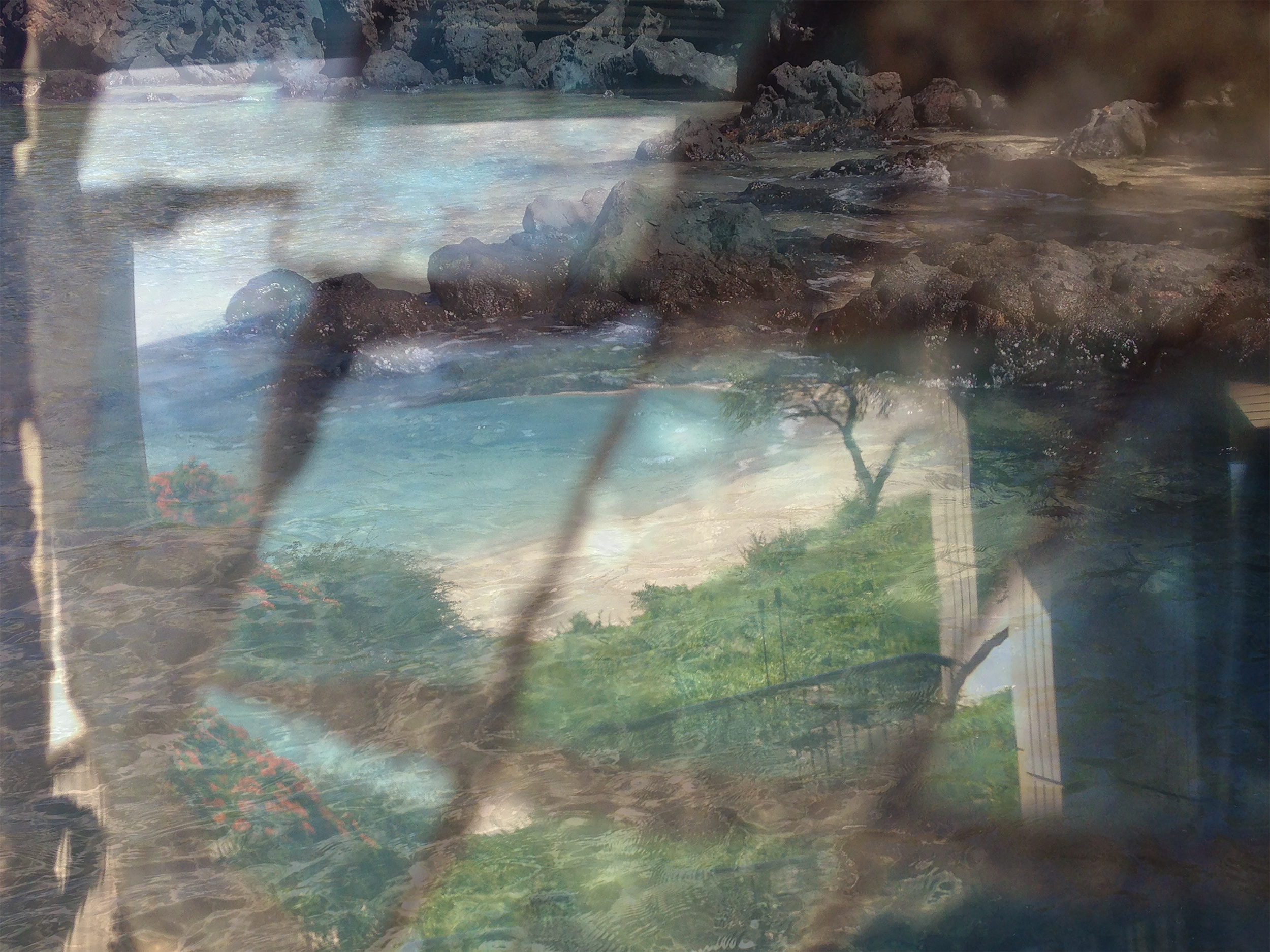  Shore. Big Island. Black Coral. White Sand. Deep Aqua Sea.  I put my camera down on a low rock. It slipped into the sand lens first. I just left it—placed my wallet on top and covered it with my sweatshirt.  I dove into the shallows. Eyes open. I wa