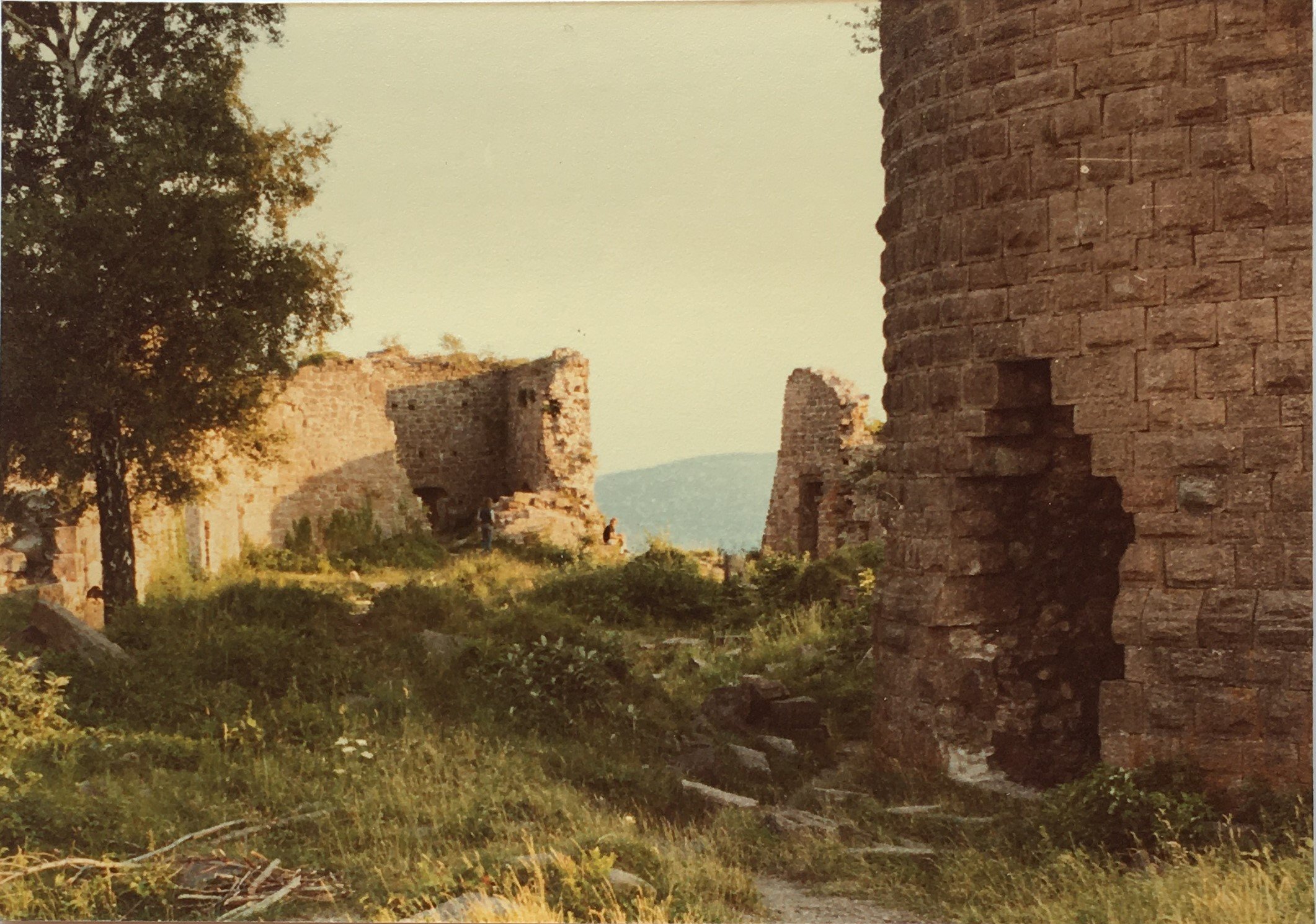 vosges castle 1.JPG