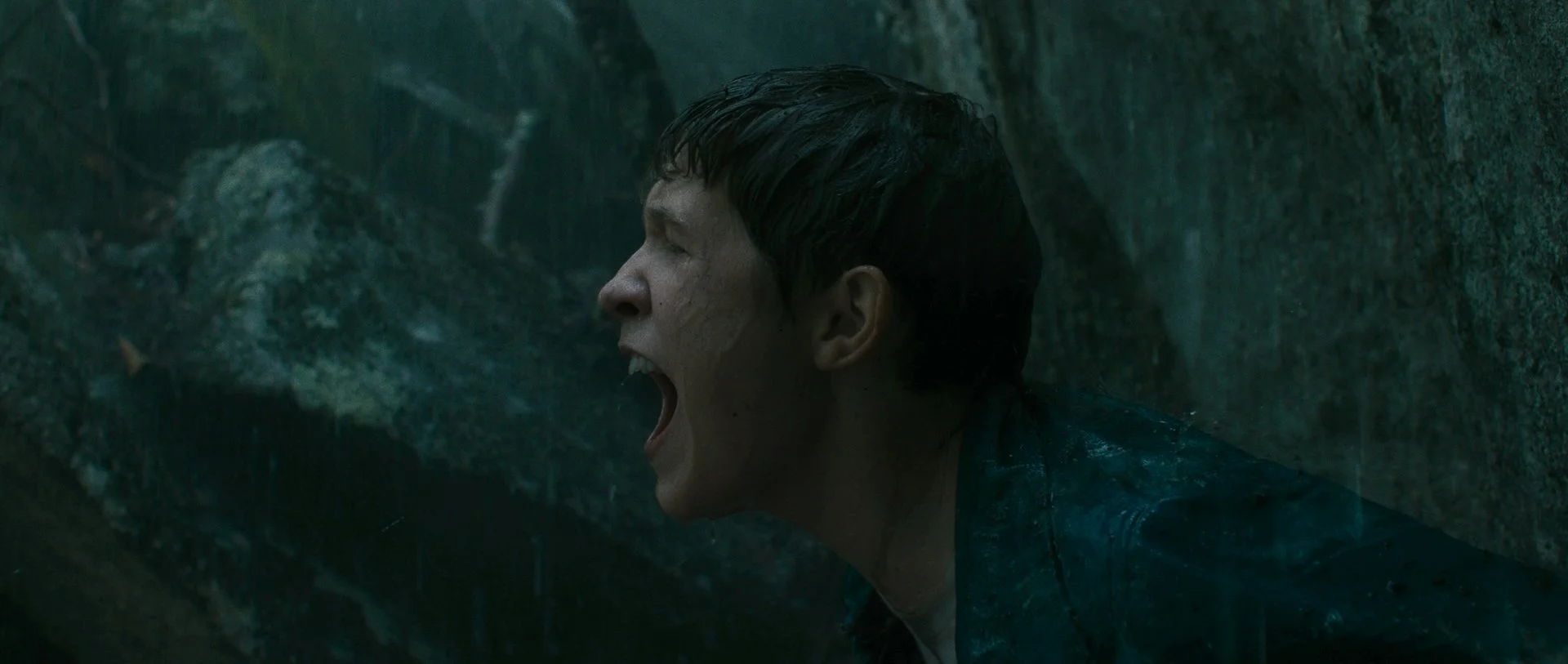 ASSISTANT DIRECTOR | LOST ON A MOUNTAIN IN MAINE | Feature