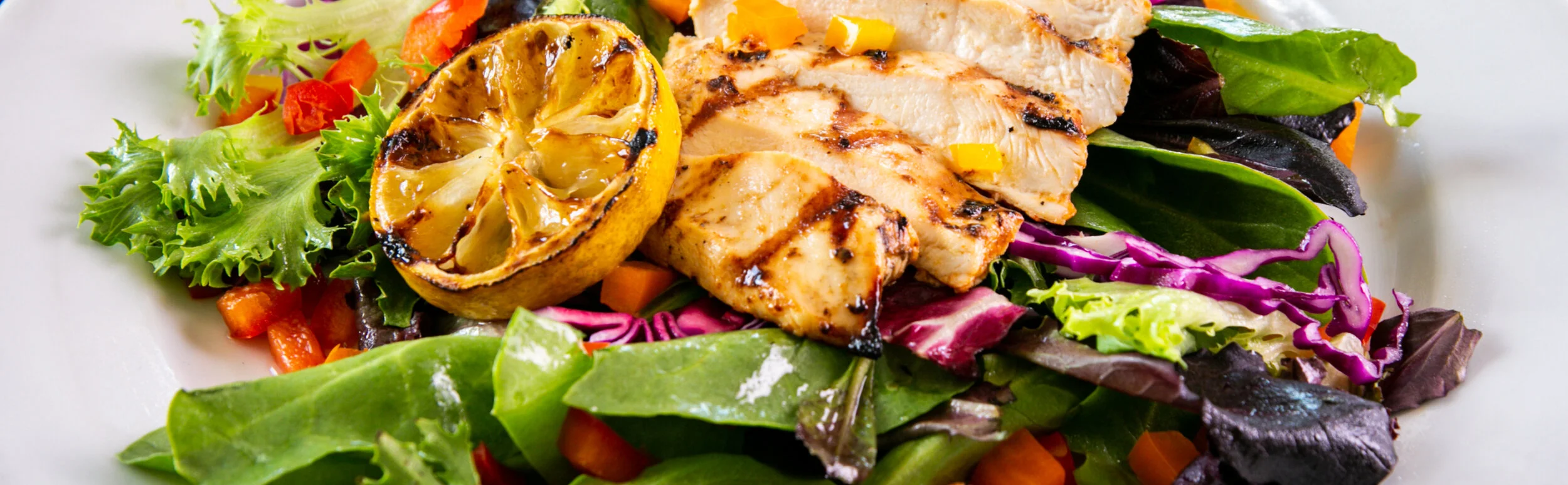 Healthy Chicken — Red Bird Farms