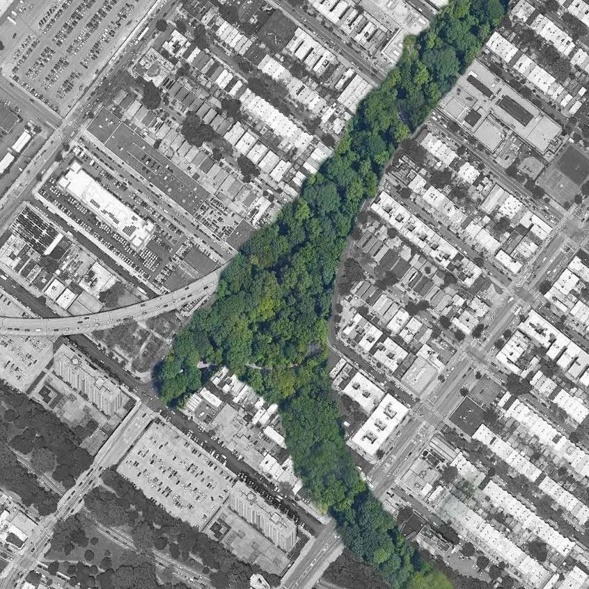Concept collage: The BQE-Belt Parkway interchange reforested