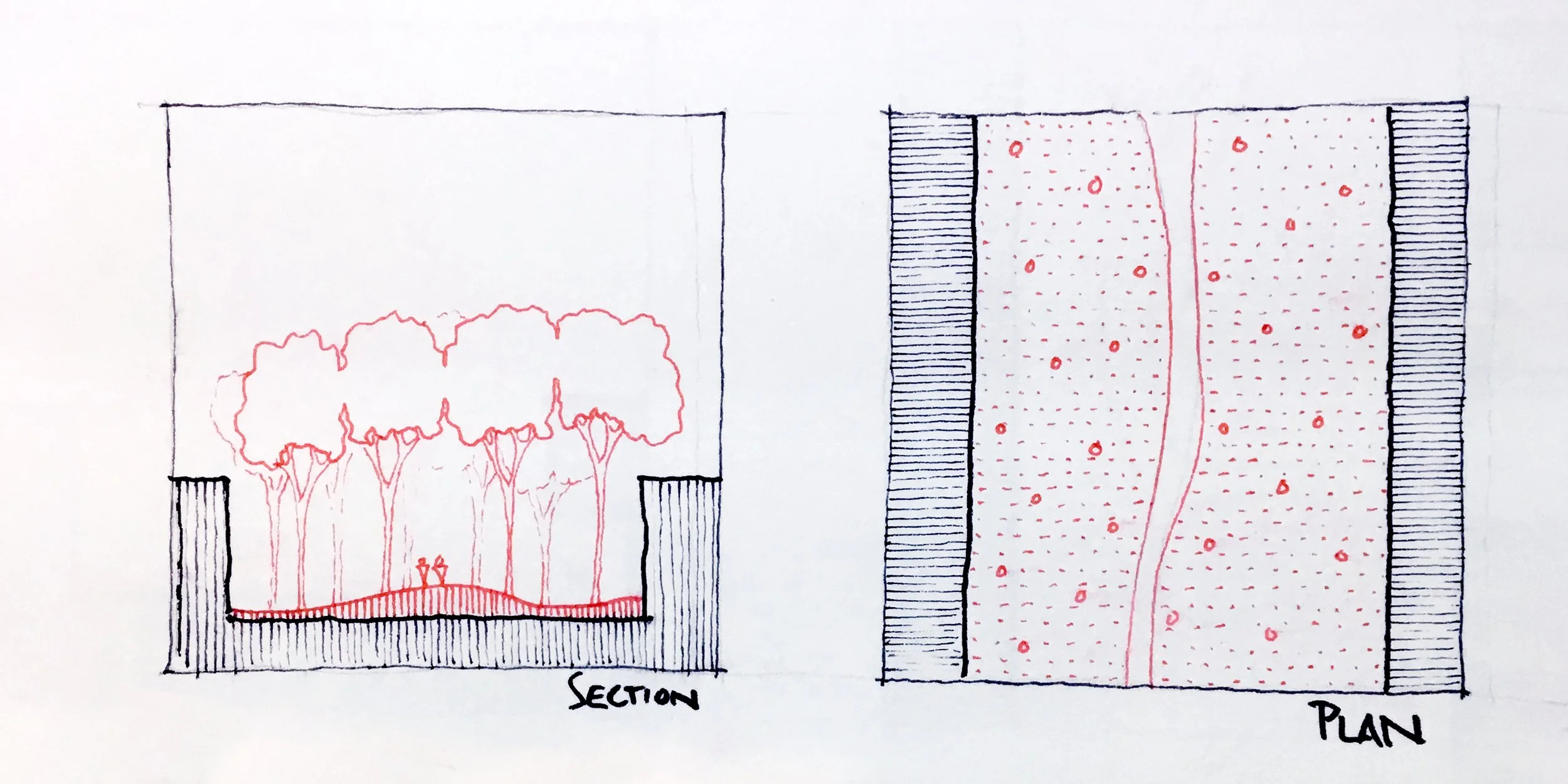 Concept sketches: 3rd Avenue as park with path