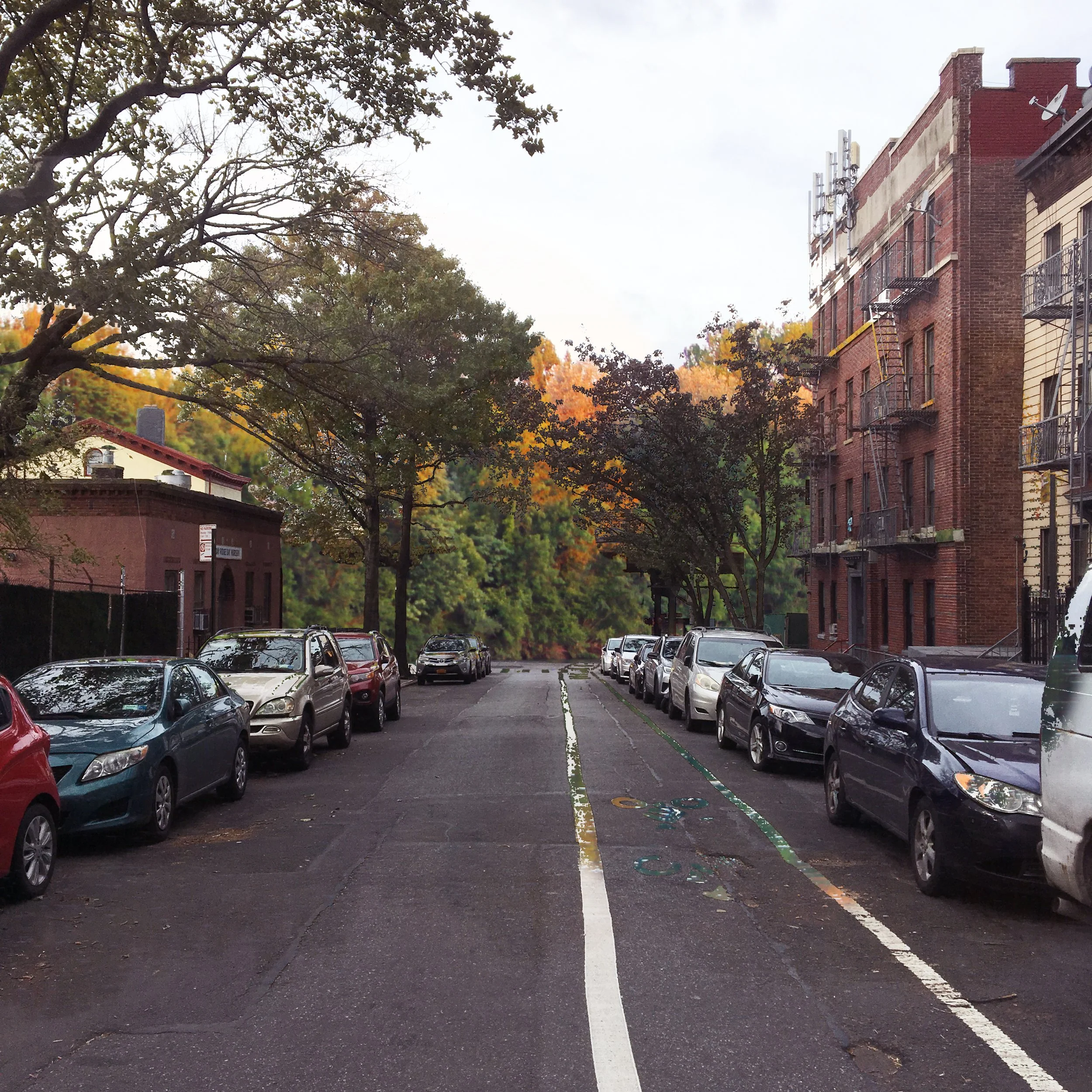 Concept collage: 3rd Avenue forest viewed from 44th street