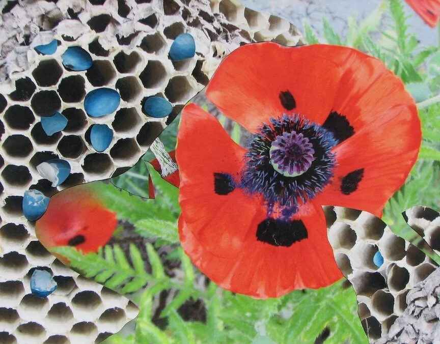 Pollination I, 16 x 21”, 2017