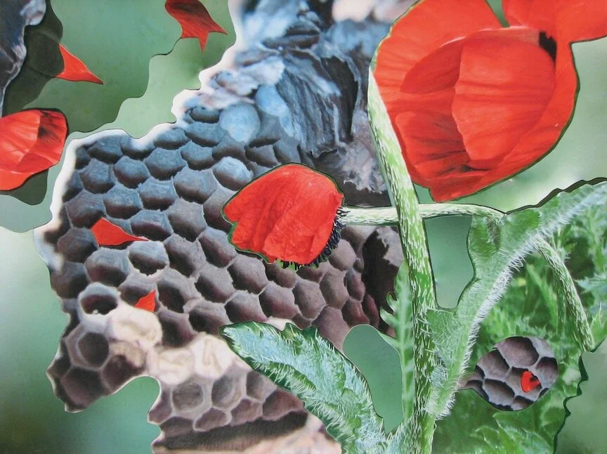 Pollination 2, 16 x 21”, 2017