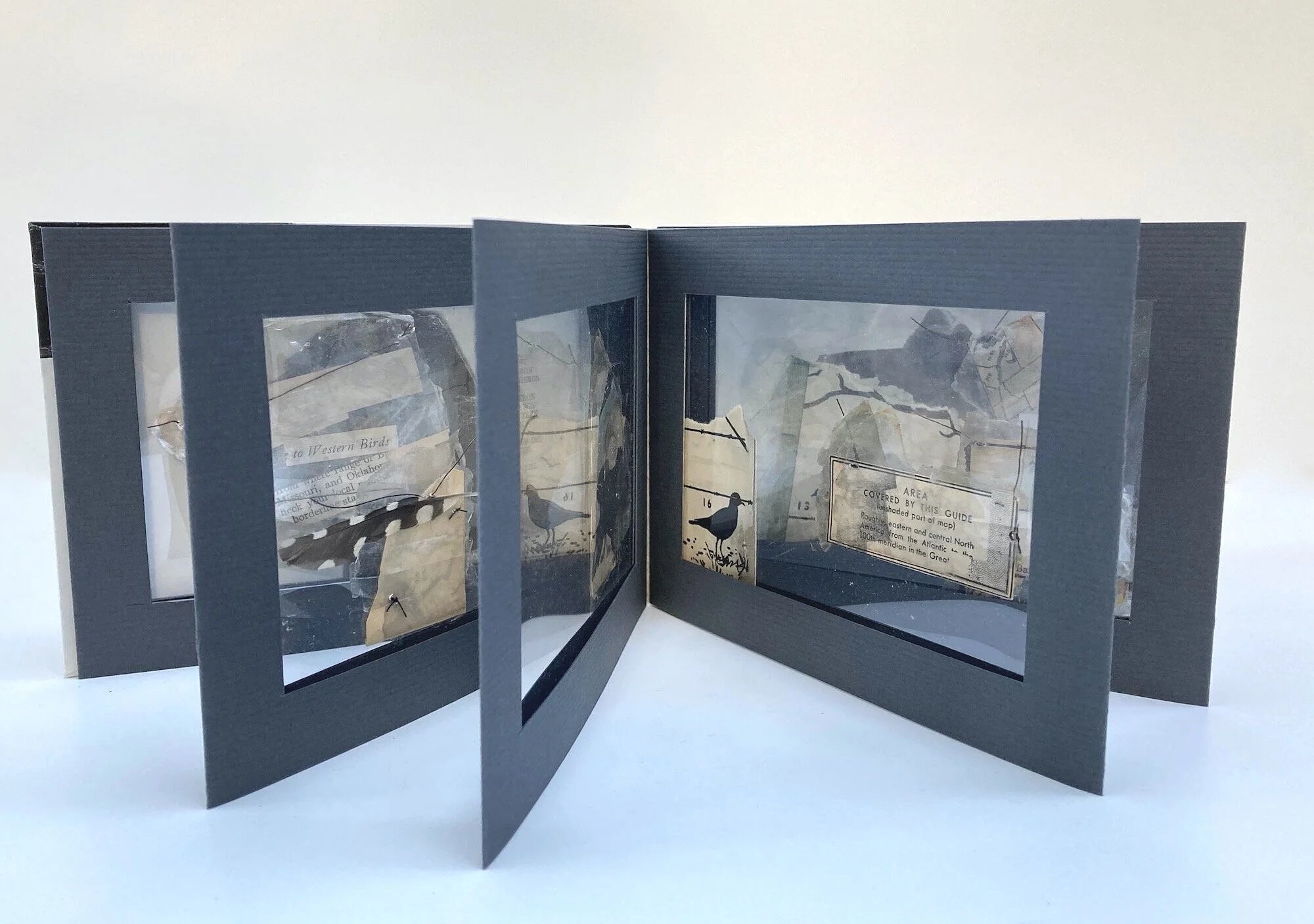  Field Specimens, 2021  open: 4.74 x 14”   