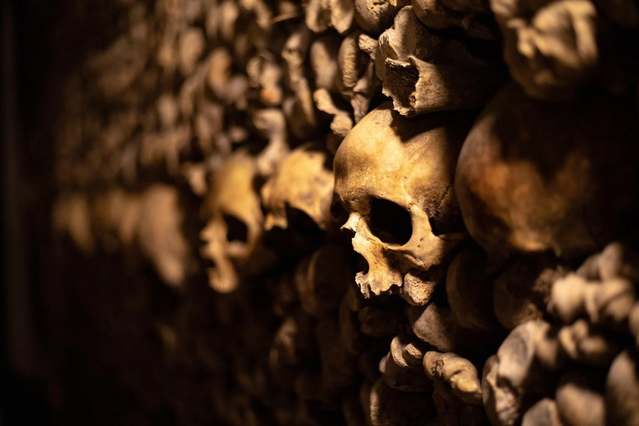 The Paris Catacombs