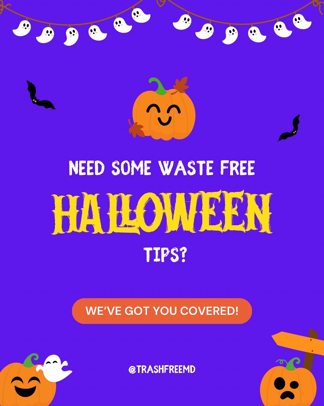 This Halloween season, consider utilizing some of these simple tips for a more sustainable, waste-free holiday!