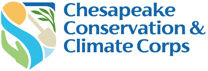 Internship Opportunity!