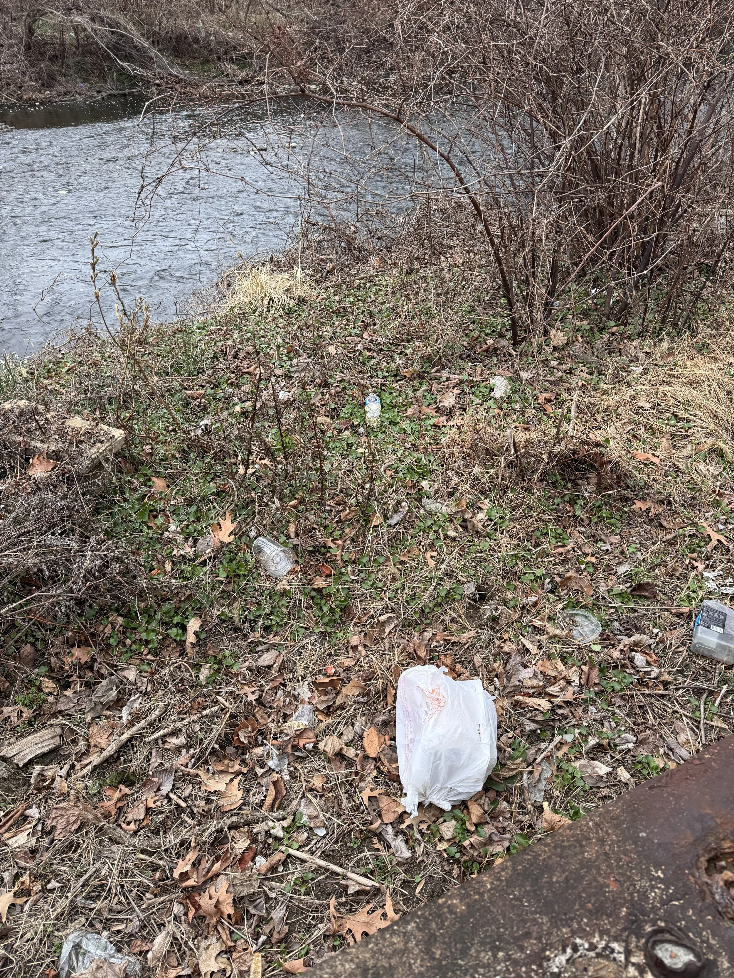 plasticbagsandbottlesnearcreek.jpeg