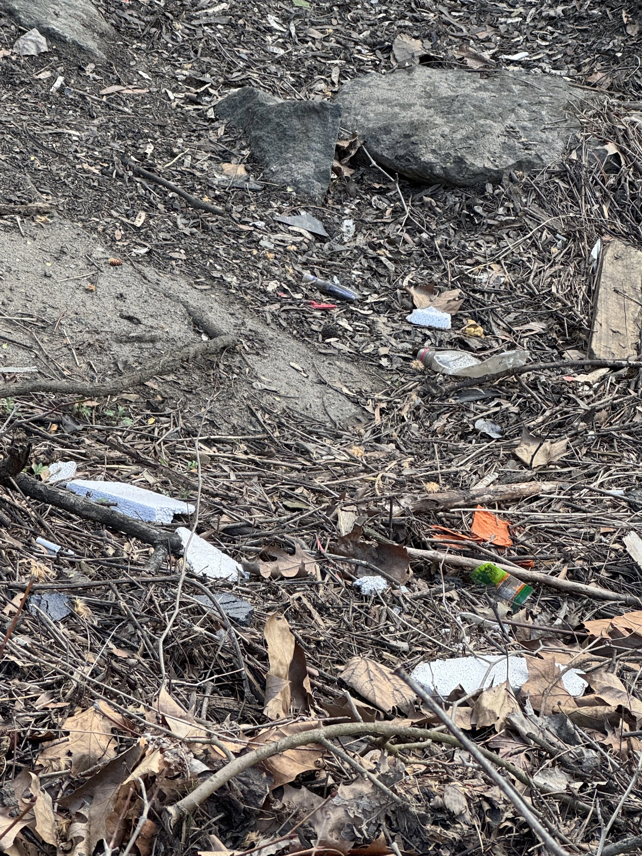 foamcoolerandplasticdebris.jpeg