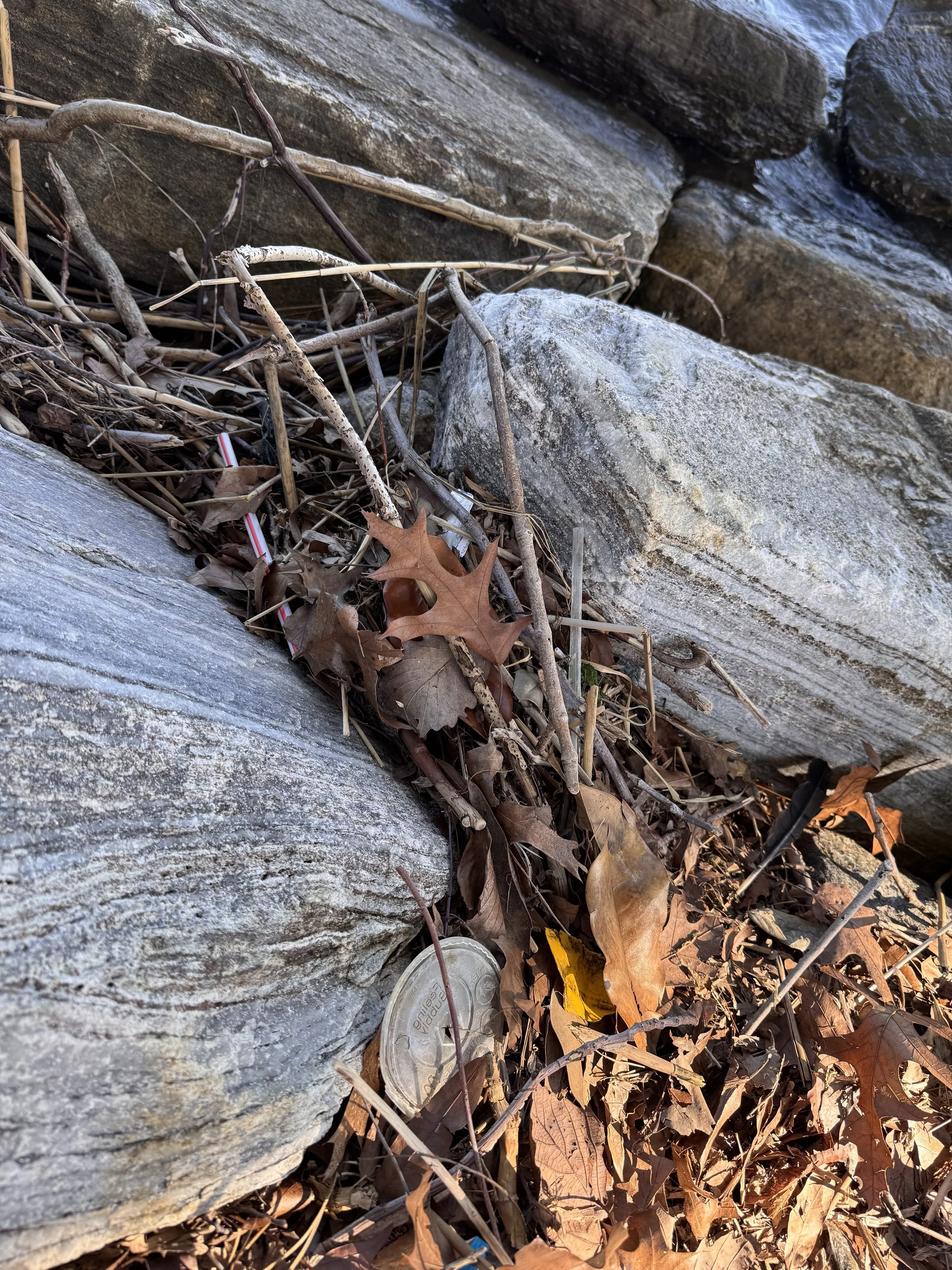 plasticstrawandlidSevernRiver.jpeg