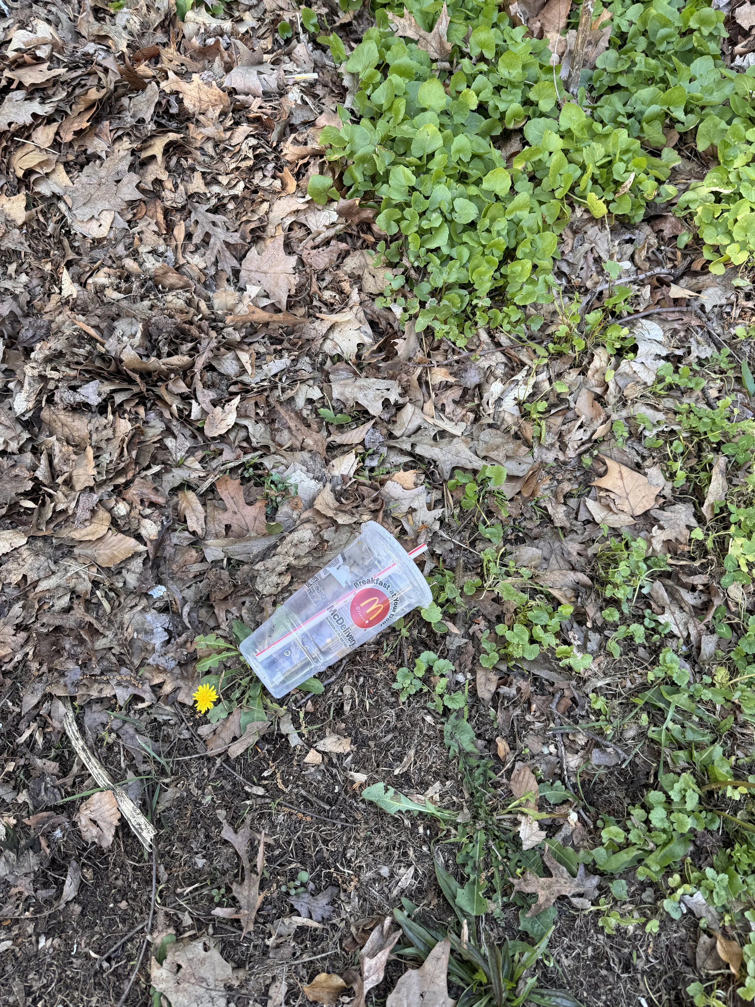 emptyplasticcupstraw.jpeg