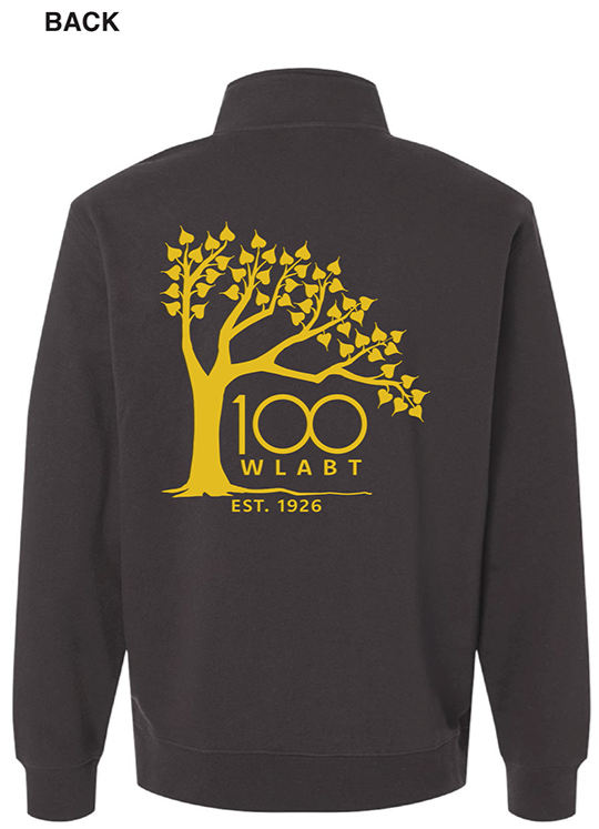 half+zip+hoodie+front.png