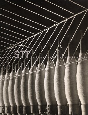 Spindles on the spinning mule