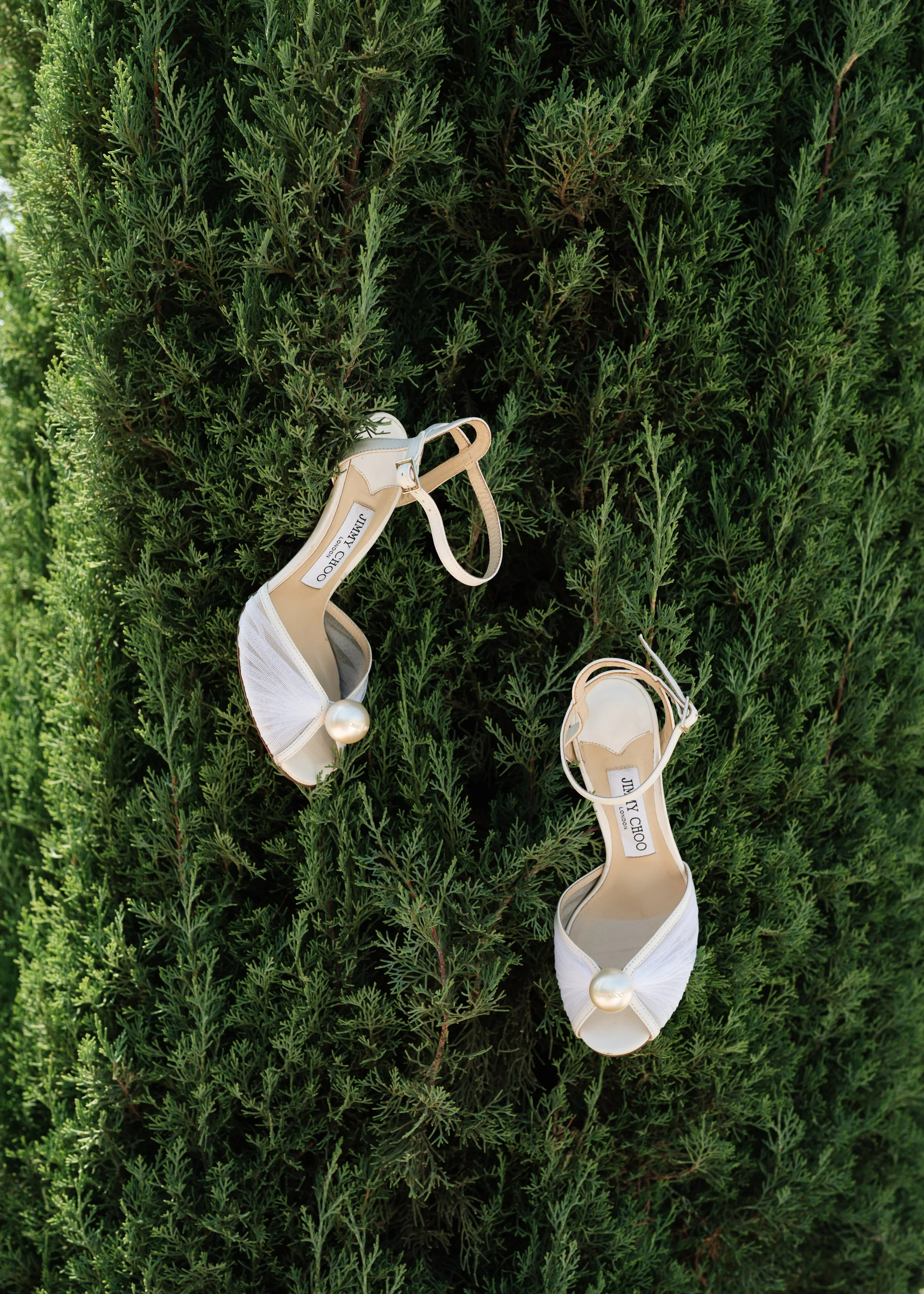 Jinely Photography-6.jpg