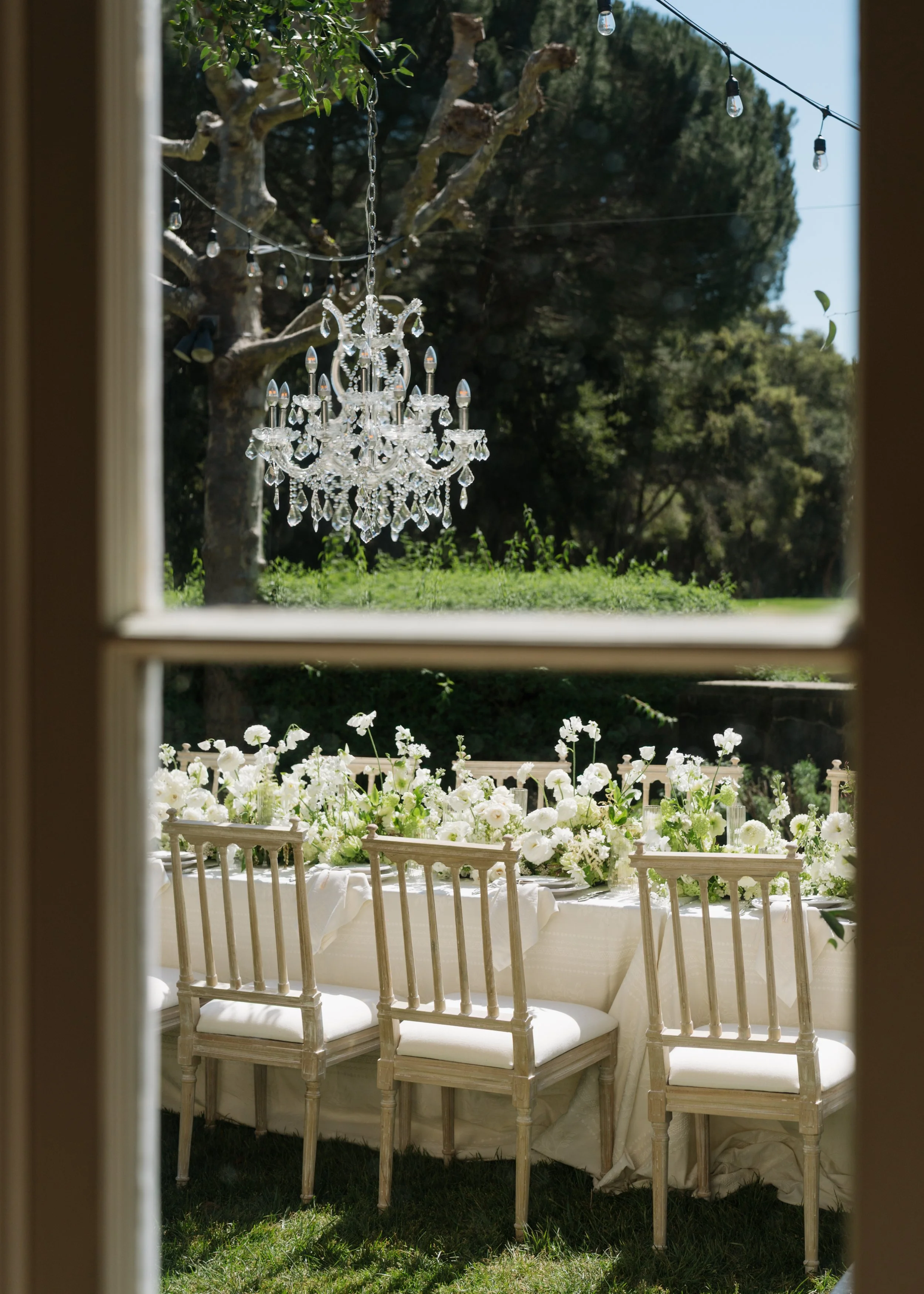 Jinely Photography-6.jpg