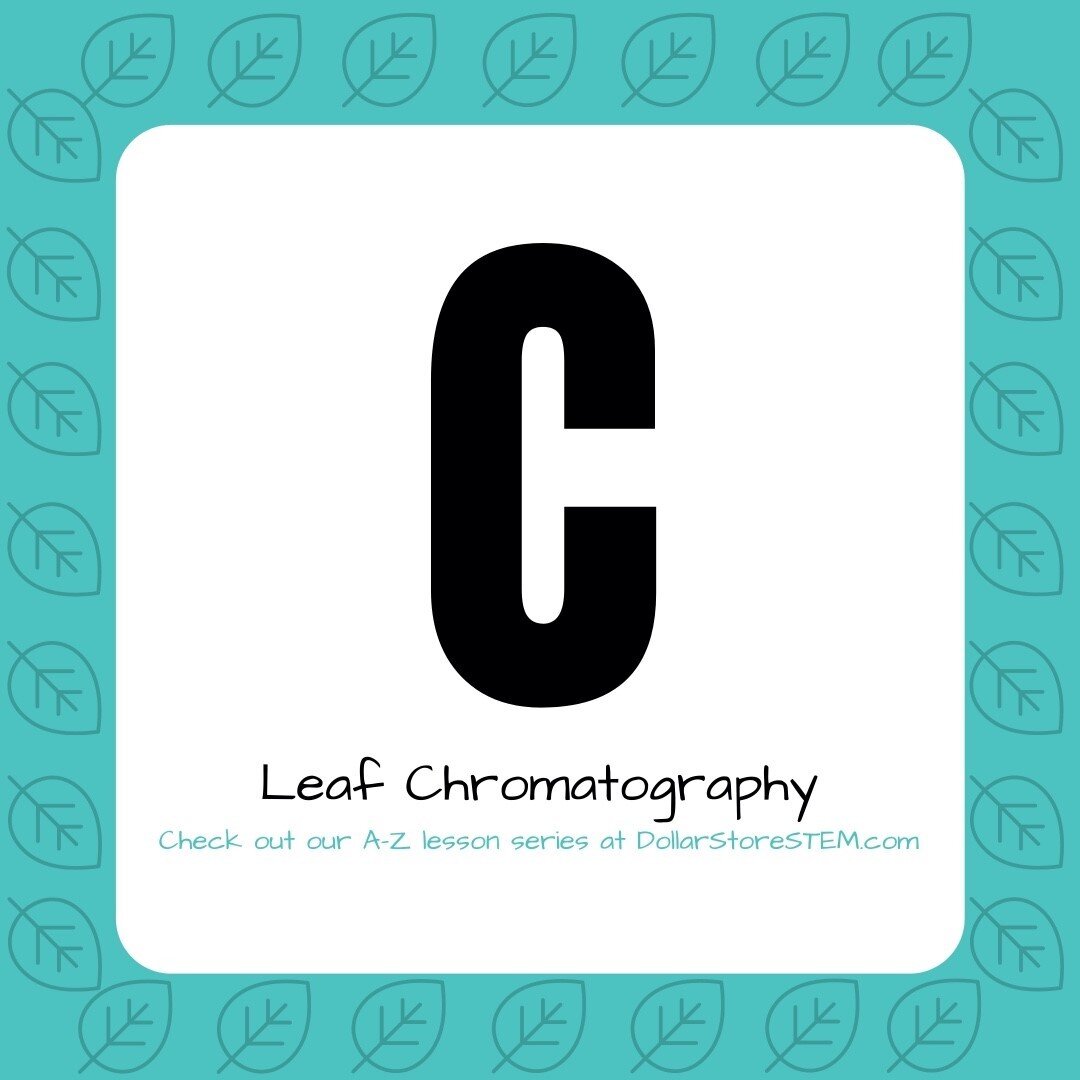 Check our the 3rd post for our year-long A to Z lesson series: C is for Chromatography! Click the link in our bio to learn why leaves change color in the fall! #dollarstorestem #DSSAtoZ  #dssSaturdays #STEM #STEMeducation #TEDEd #TIEfighters