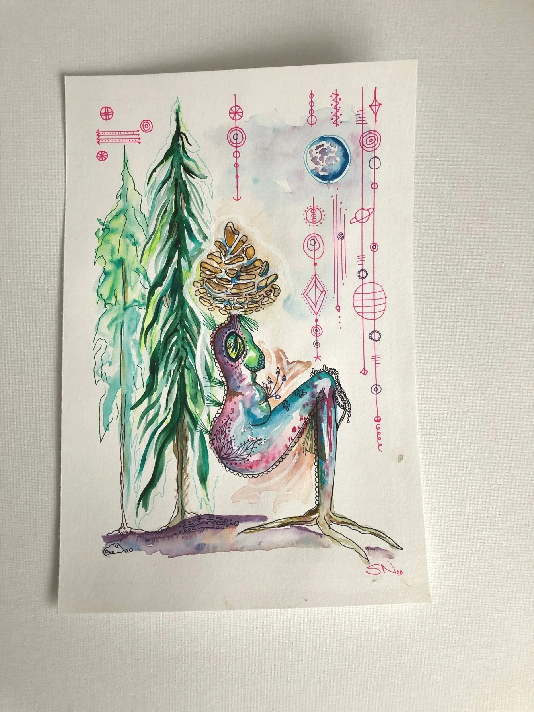 Pine Cone and Zone (out) (Copy) (Copy)