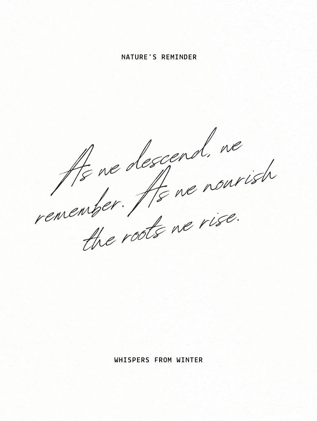 As we descend, we remember. As we nourish the roots we rise. 👉🏽 

In the hush of winter, when the earth turns inward, the plants begin to speak.

Come sit with the quiet. Let the forest hold you under the light of the moon.

Introducing Winter Herb