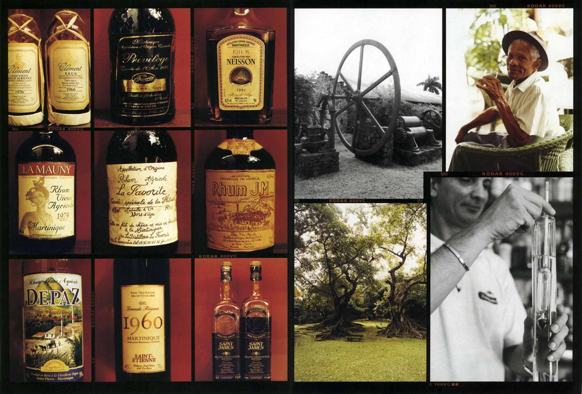 Published rum story double 2.jpg