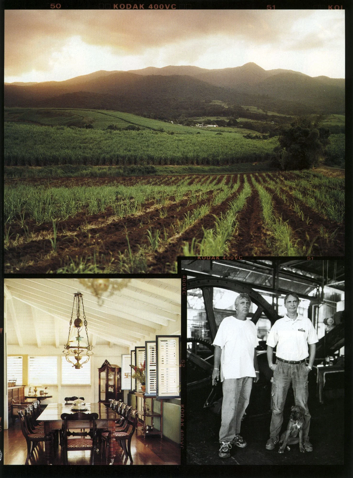 Published rum story 3.jpg