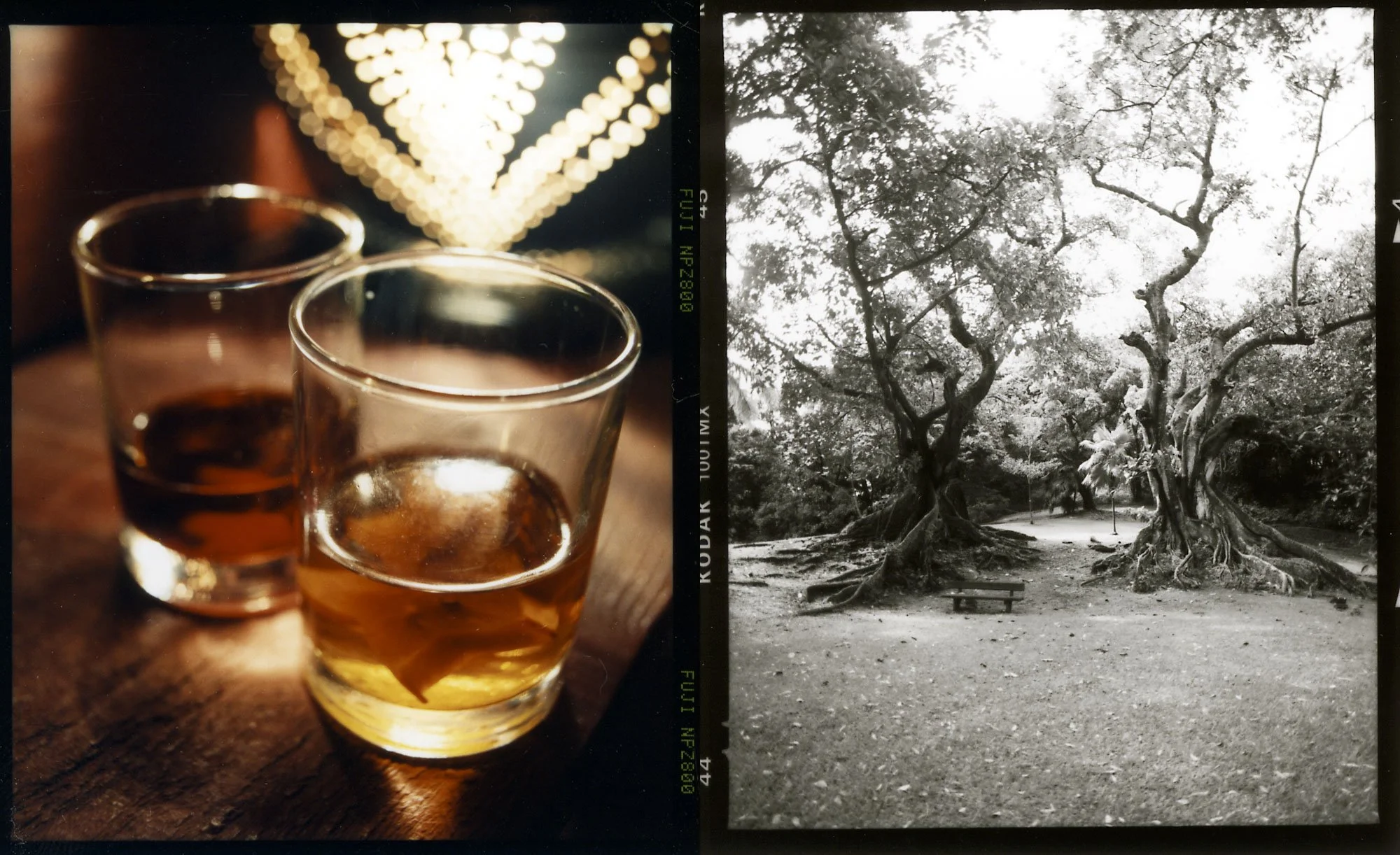 Rum Story Layout 3.jpg