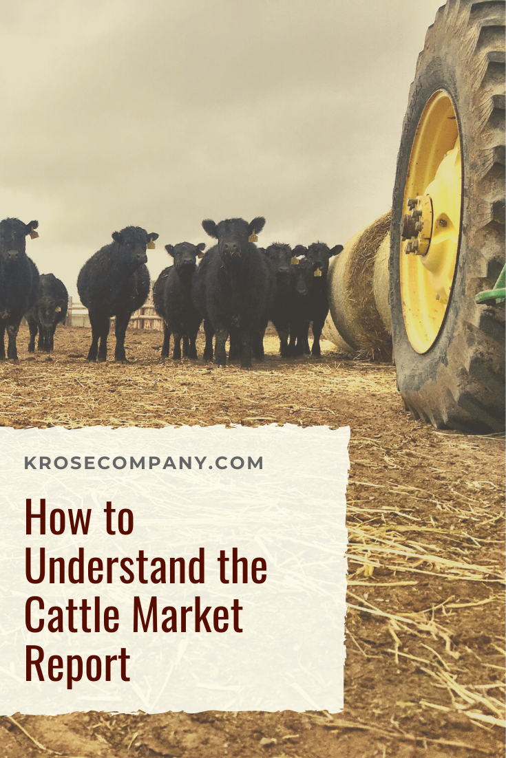 The Cattle Market Explained — KRose Company / How to read and