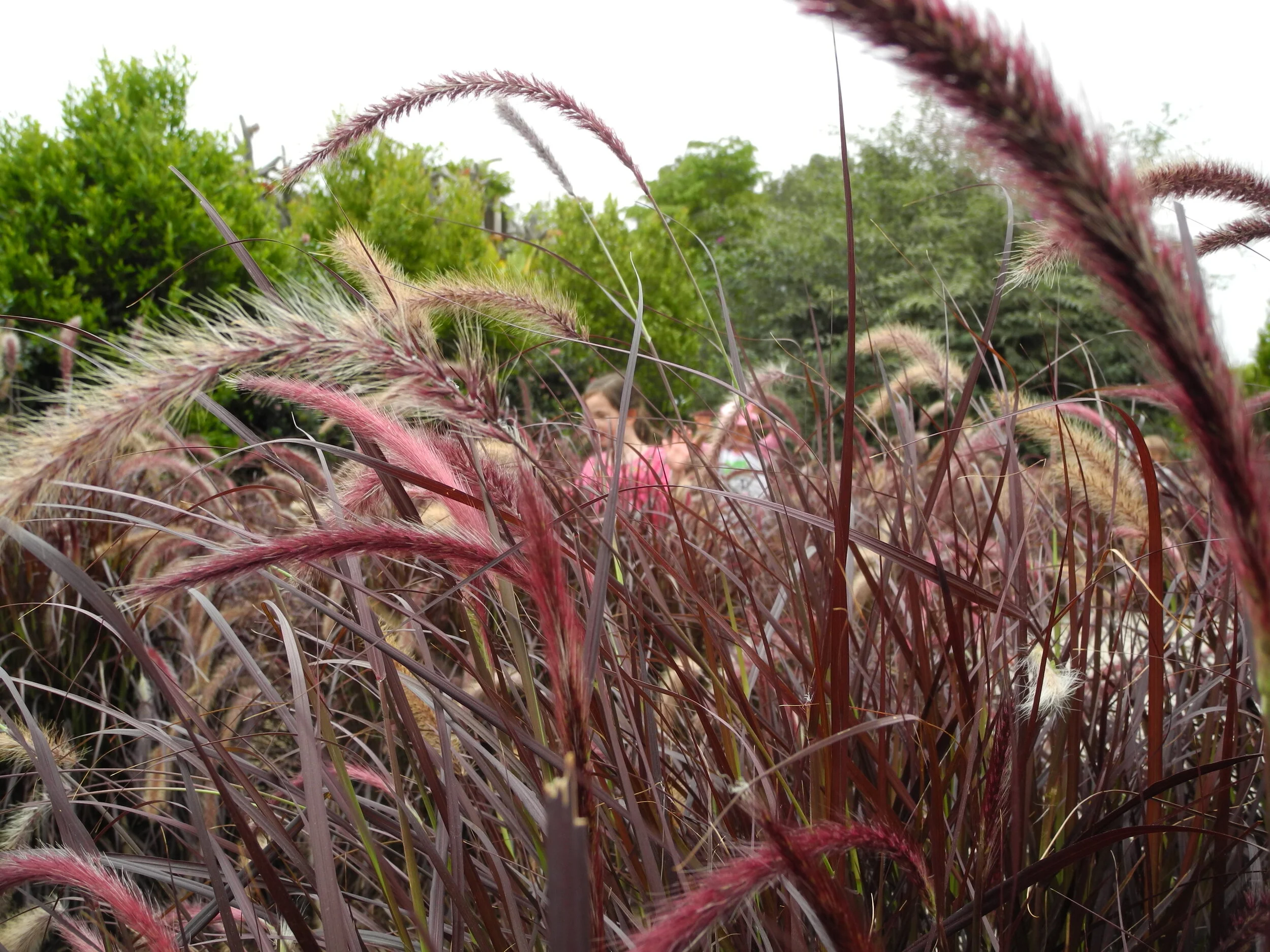 DSCN0607.JPG