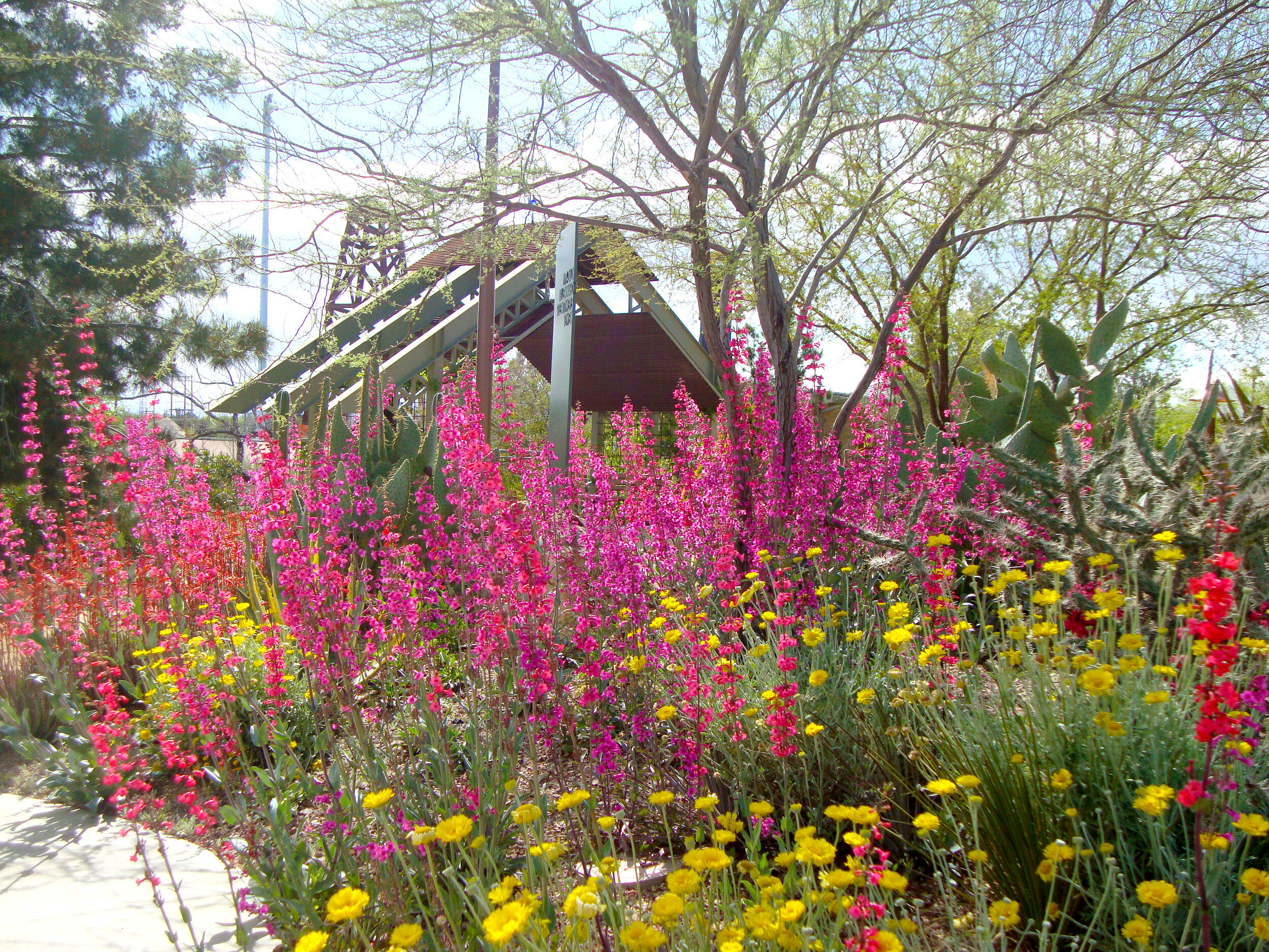 Xeriscape Gardens