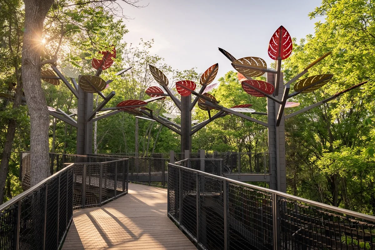 The Wanderwood Gardens