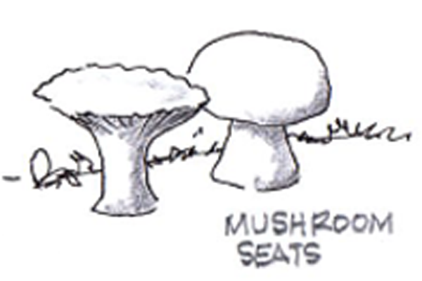 DPA-WANDERWOOD-DENDYVILLAGE_mushroom.png