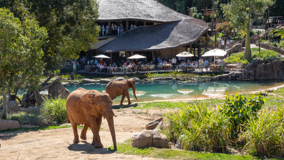 Zoos