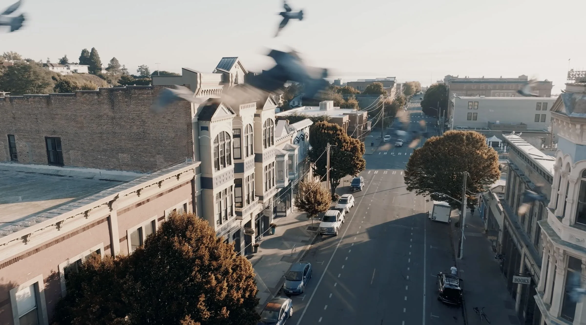 Birds flying over a historic downtown street with Victorian style buildings and parked cars, sunlight casting shadows.