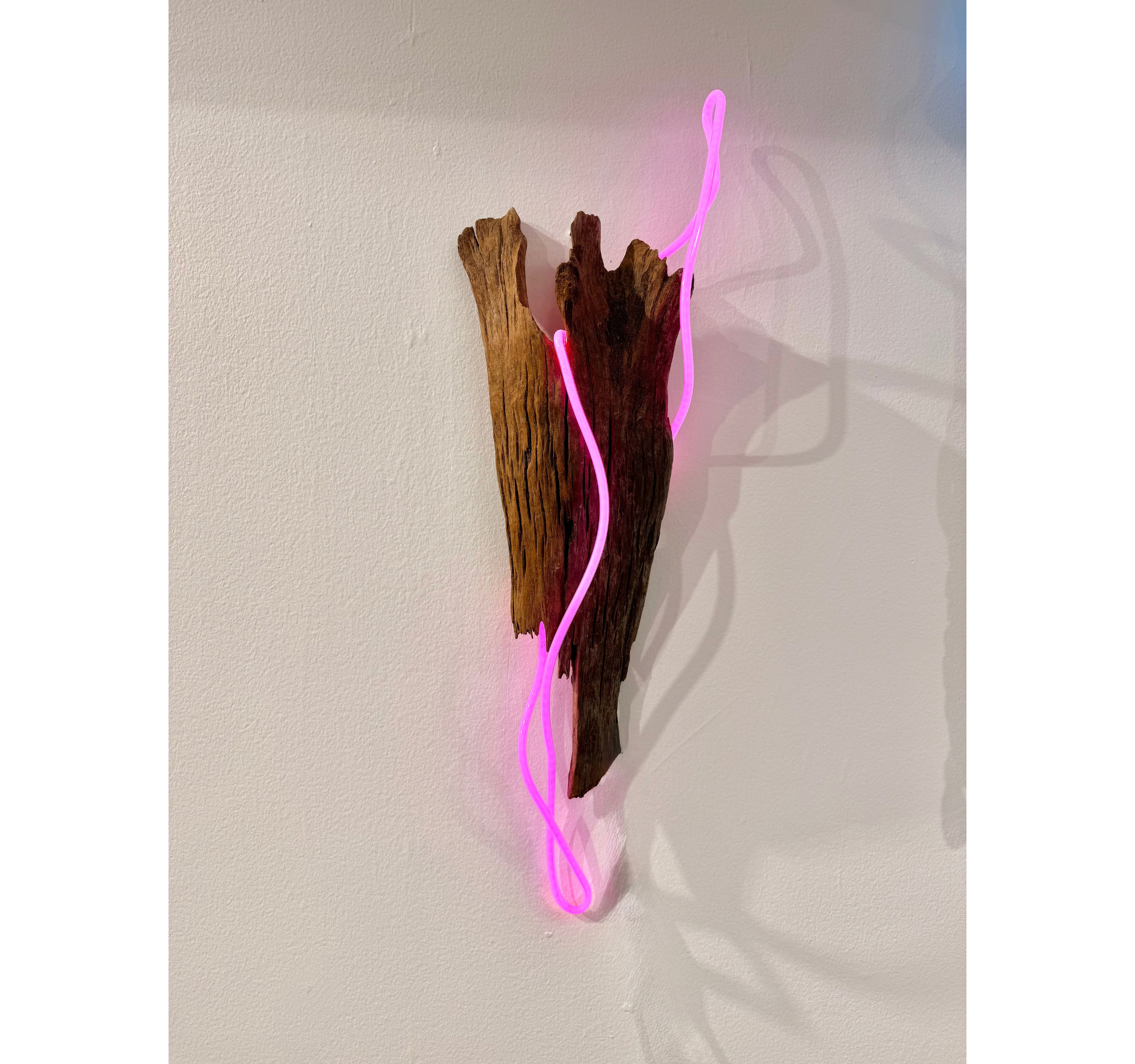 “Libra Rising” Chris Baker | $3600