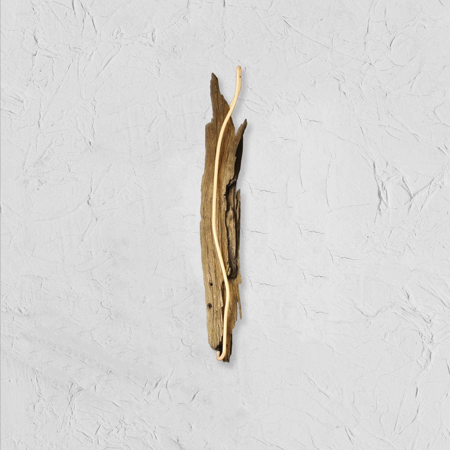 ESOM_45x7_3800_ChrisBaker-1.png