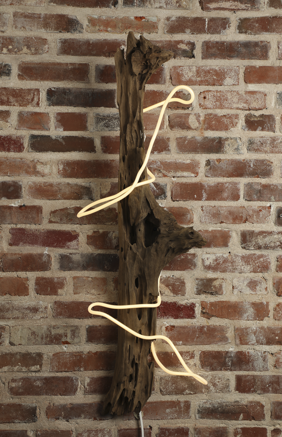 ESOM_ChrisBaker-resized-3.png