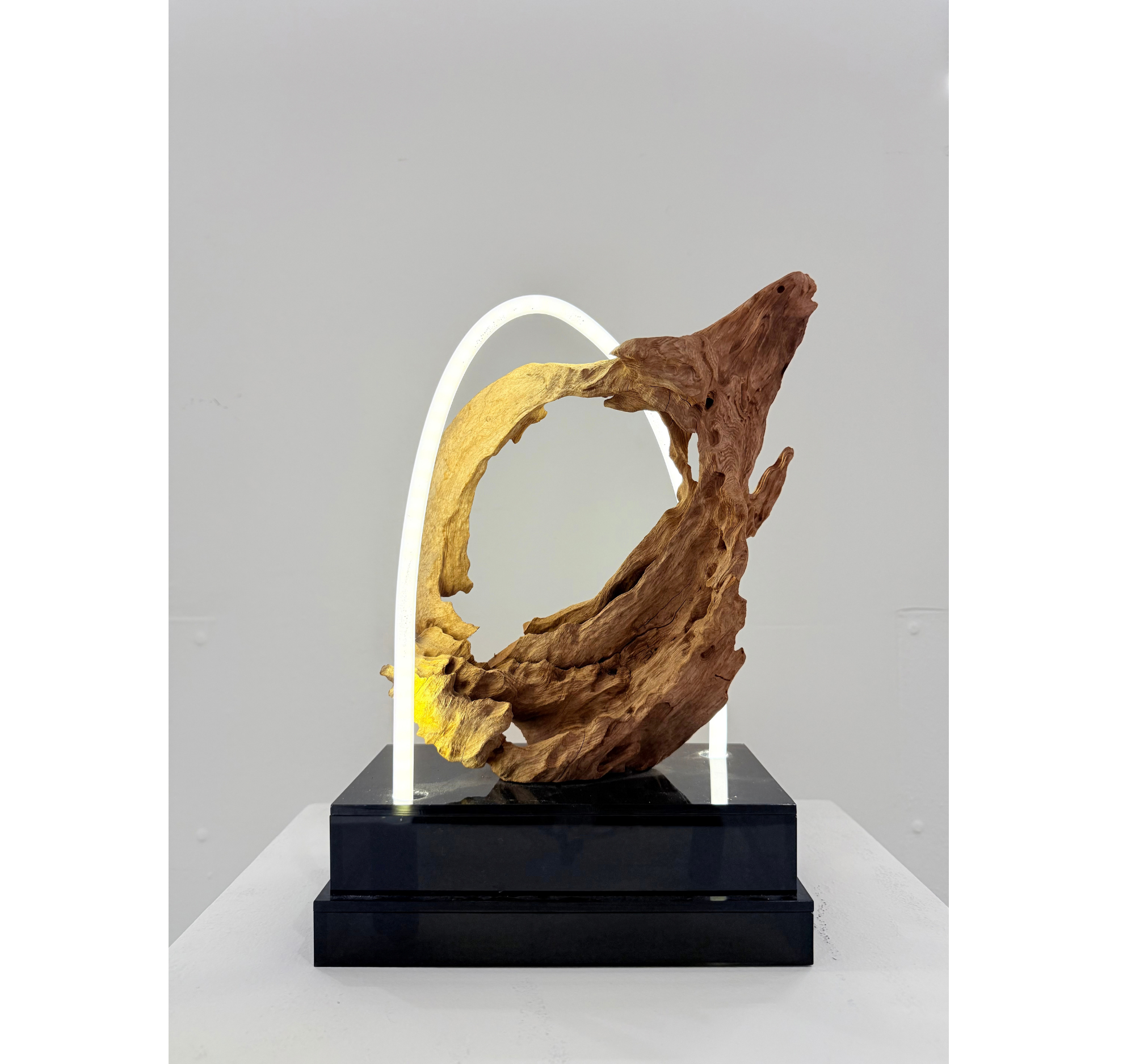“Event Horizon” Chris Baker | 14.5 x 9.5 x 5 | $3100