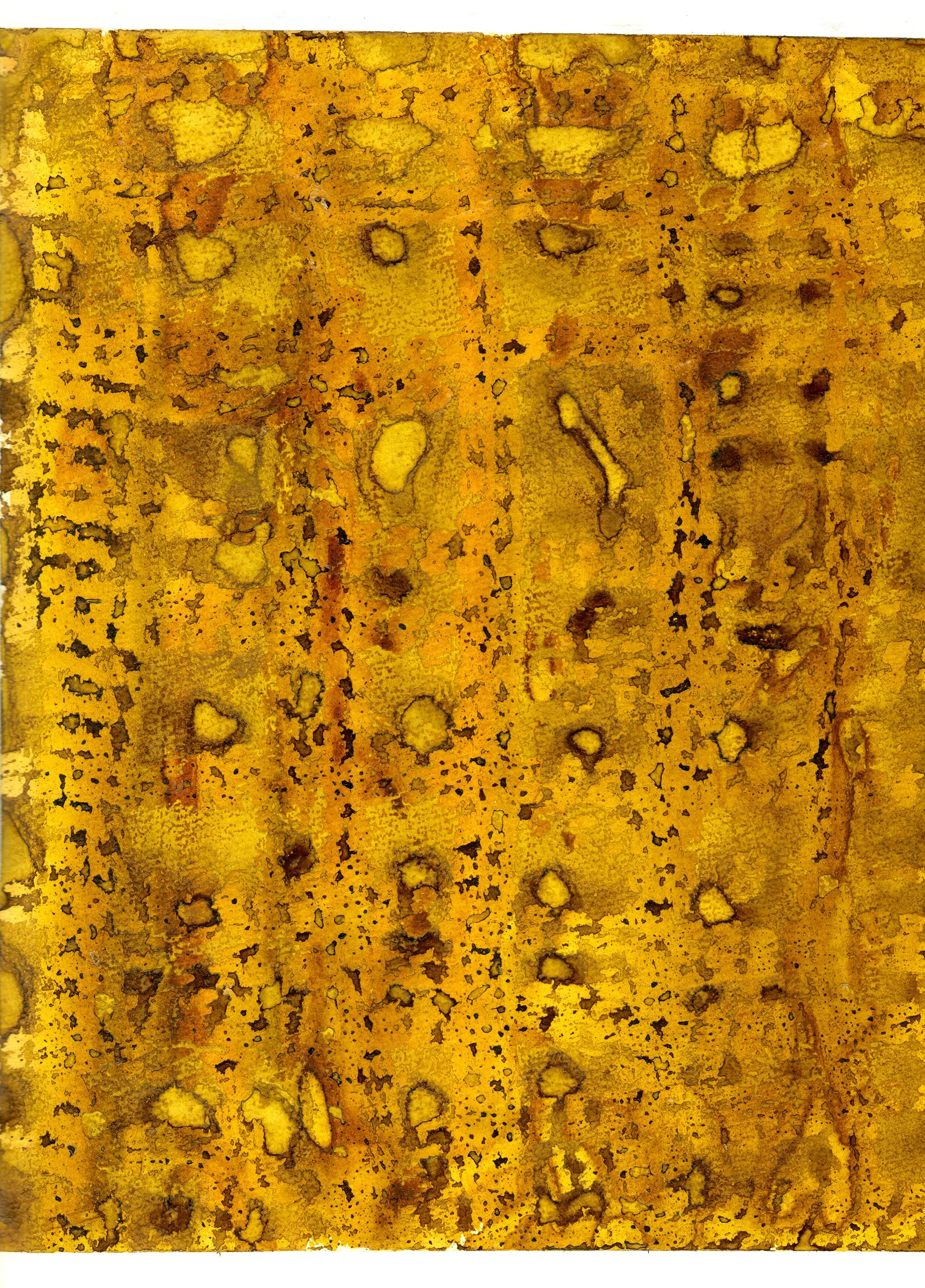 Embers Fullsize –  72dpi x 140%22 wide – CC1.jpg