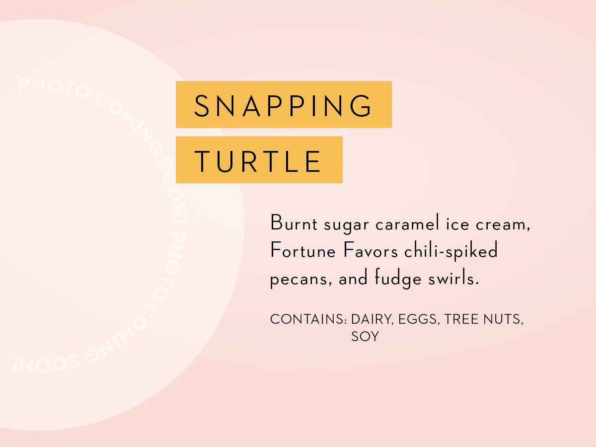 Scoopin_SnappingTurtle.jpg