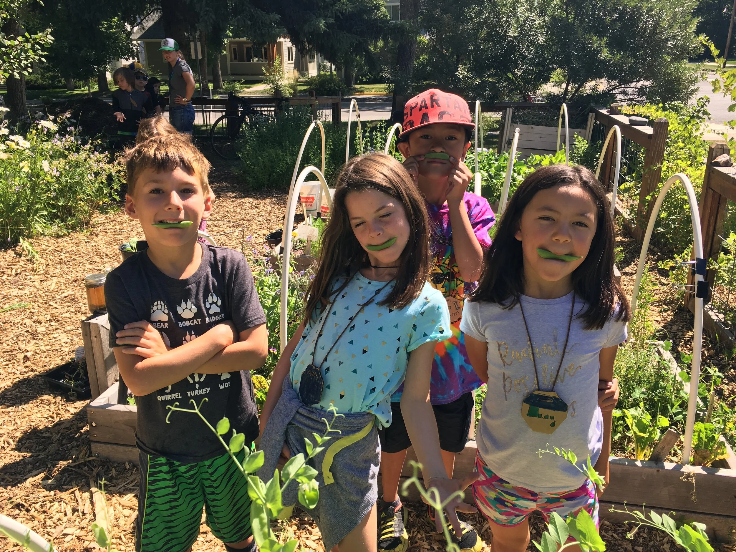 Summer Camps Gvf2s 2020