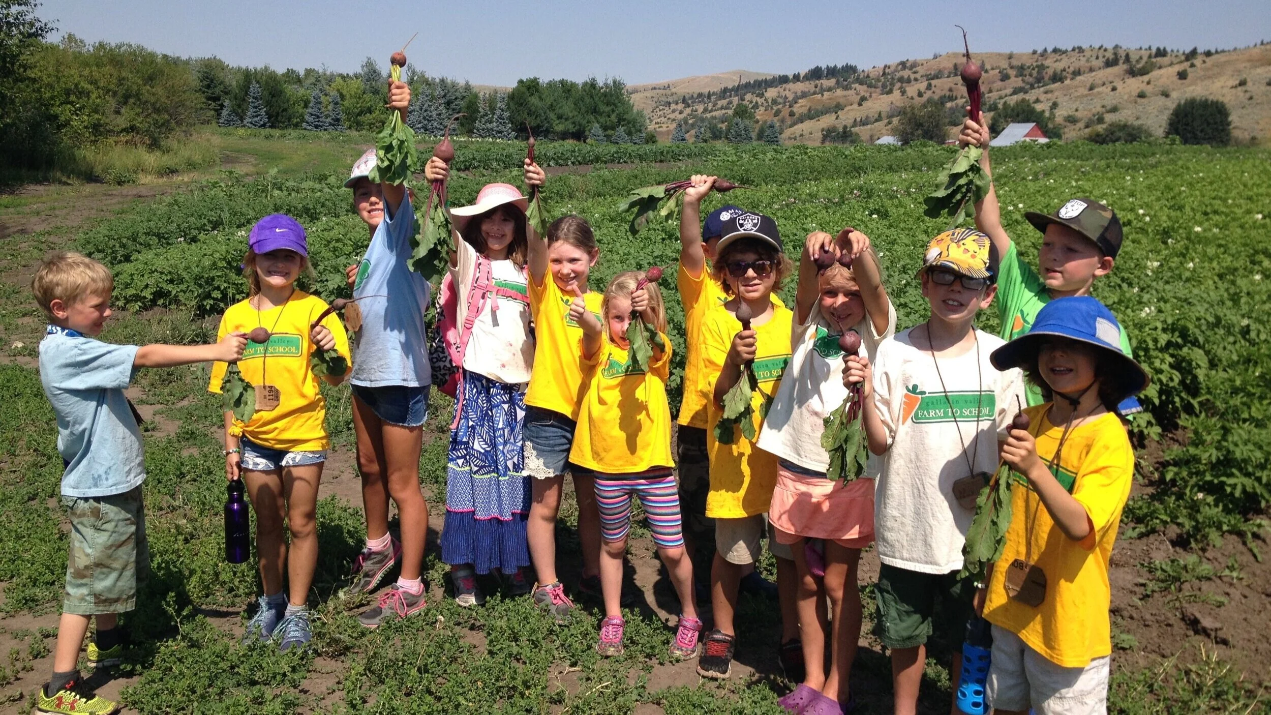 Summer Camps Gvf2s 2020