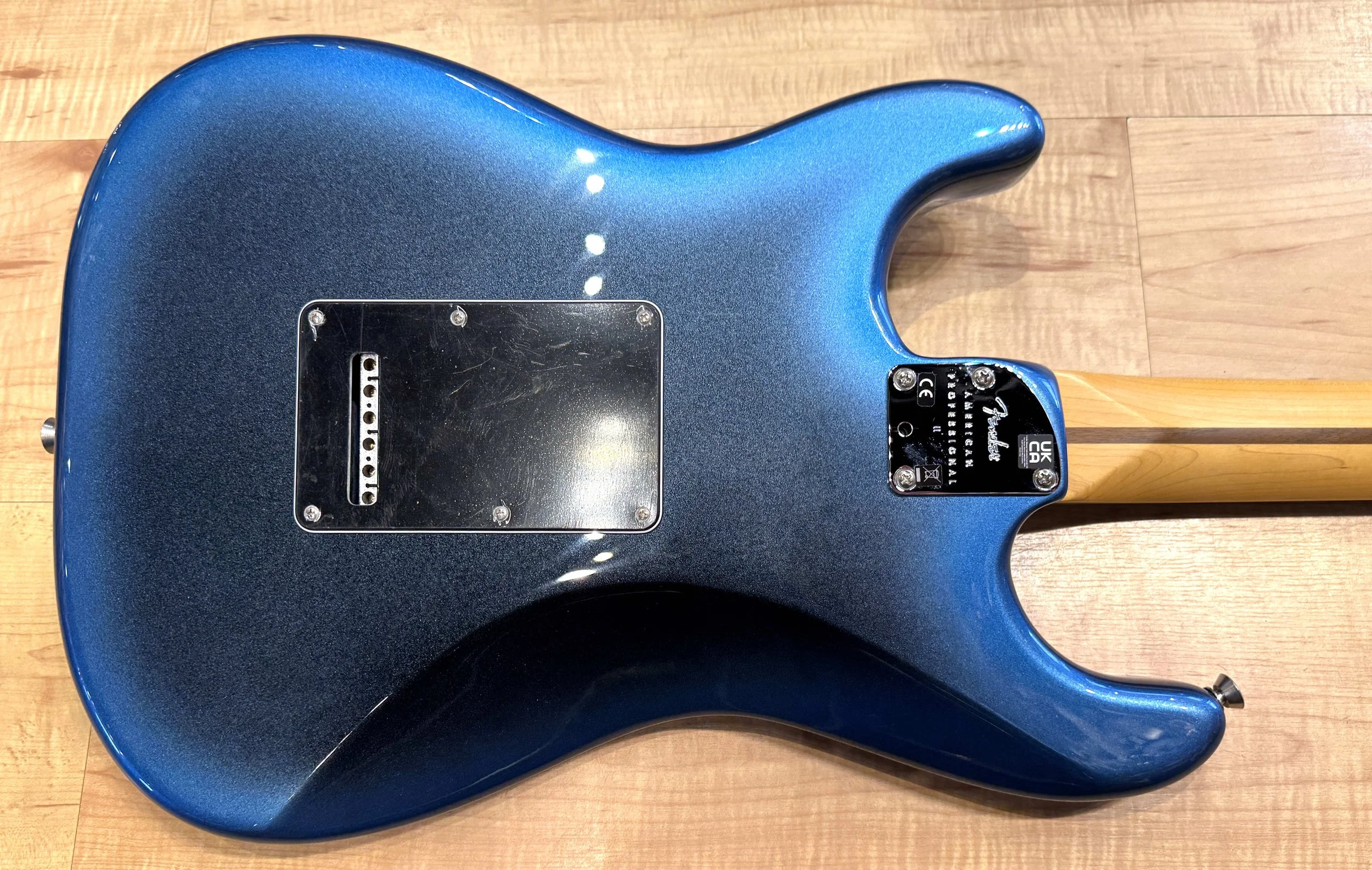 Backplate of the Fender American Professional II Stratocaster Electric Guitar In Dark Night