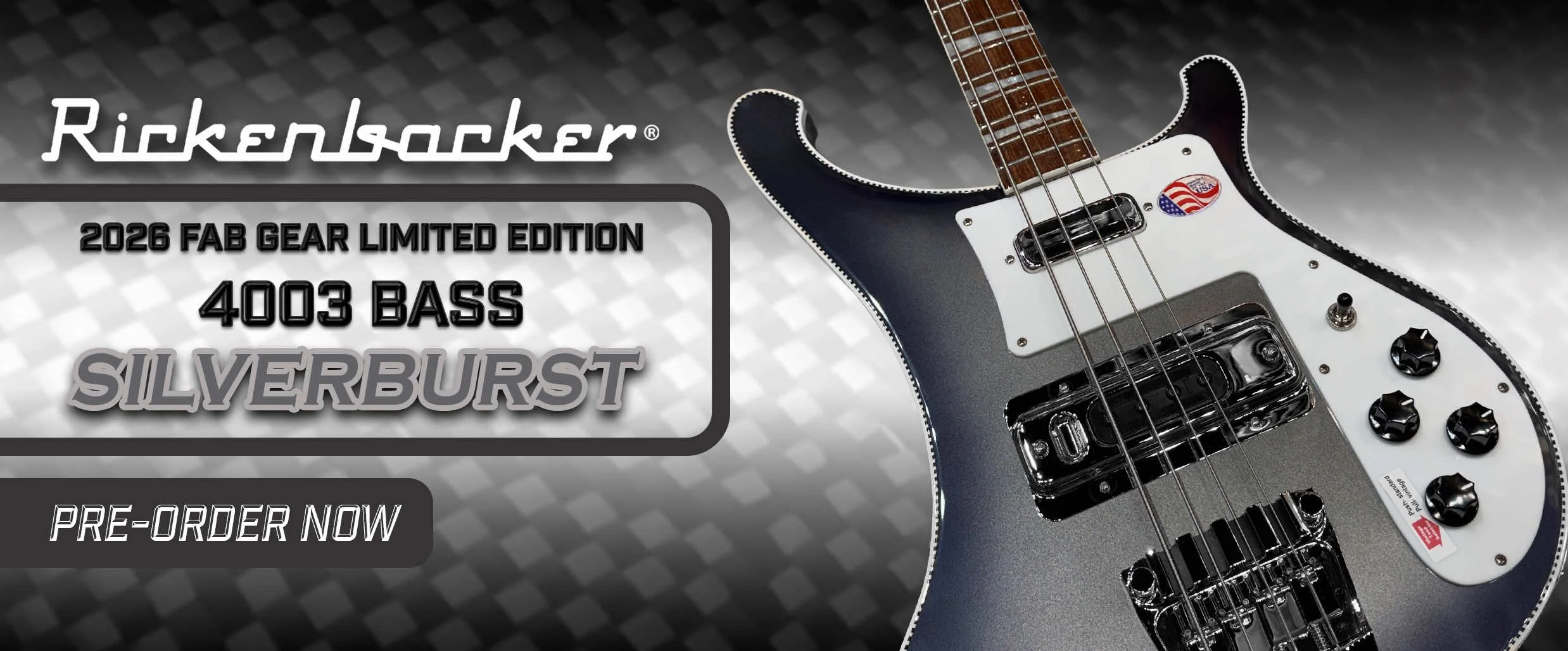 4003 Silverburst copy.jpg