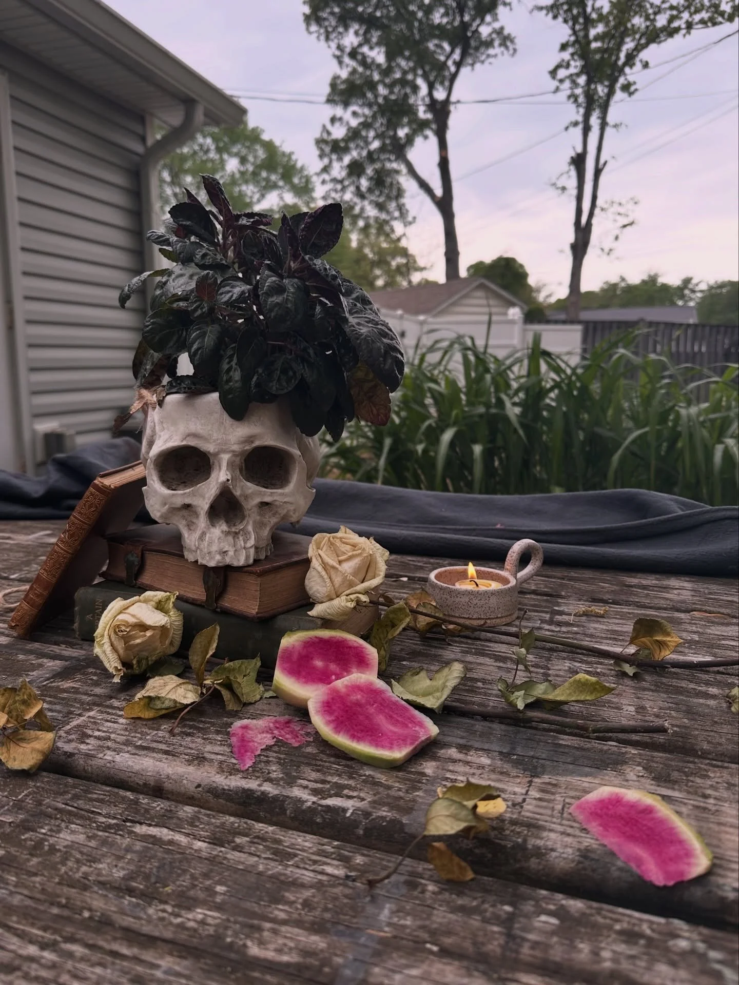 Reference Photoshoot day! I cannot begin to express just how intense this fall collection has got me feeling.