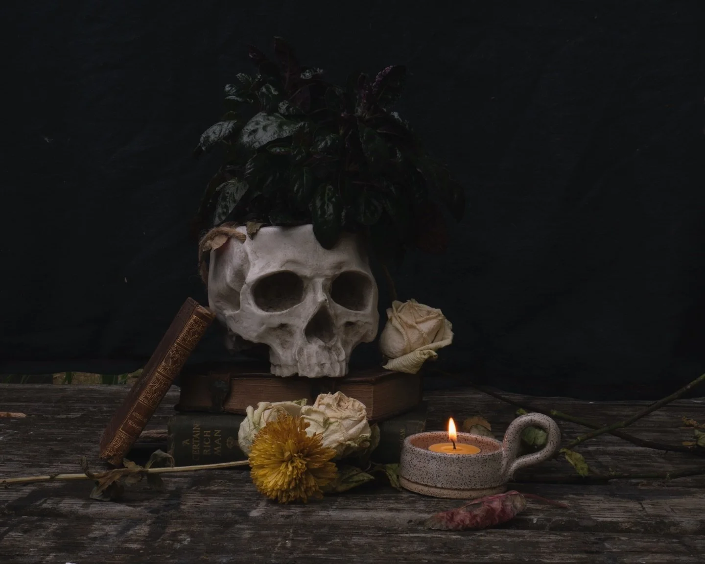 My favorite shots from yesterday&rsquo;s gloomy morning 🕯️

2 of these will be painted for October&rsquo;s release. Now I just have to decide which. 😵&zwj;💫