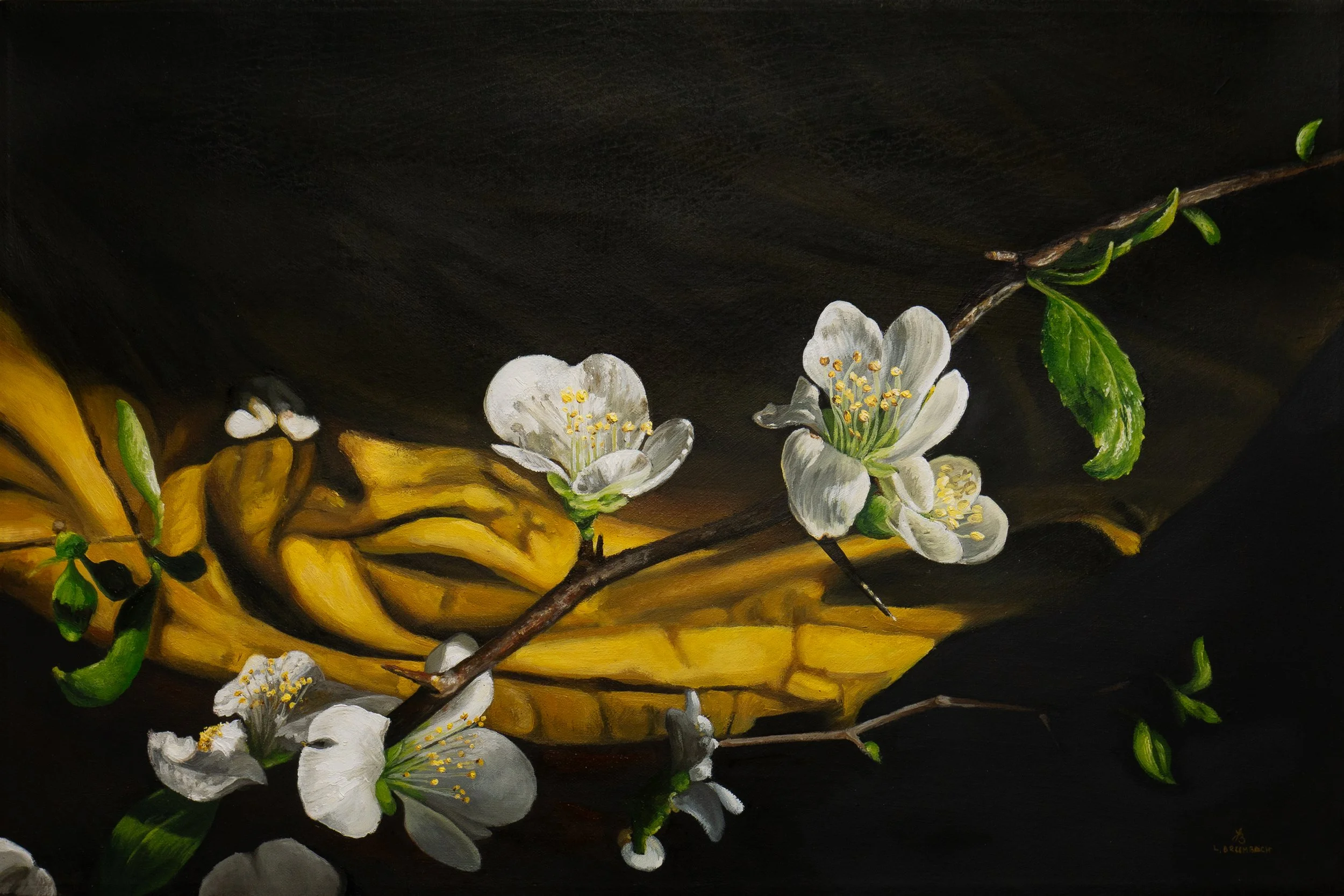 Brumbach_soft, still_16x24.jpg