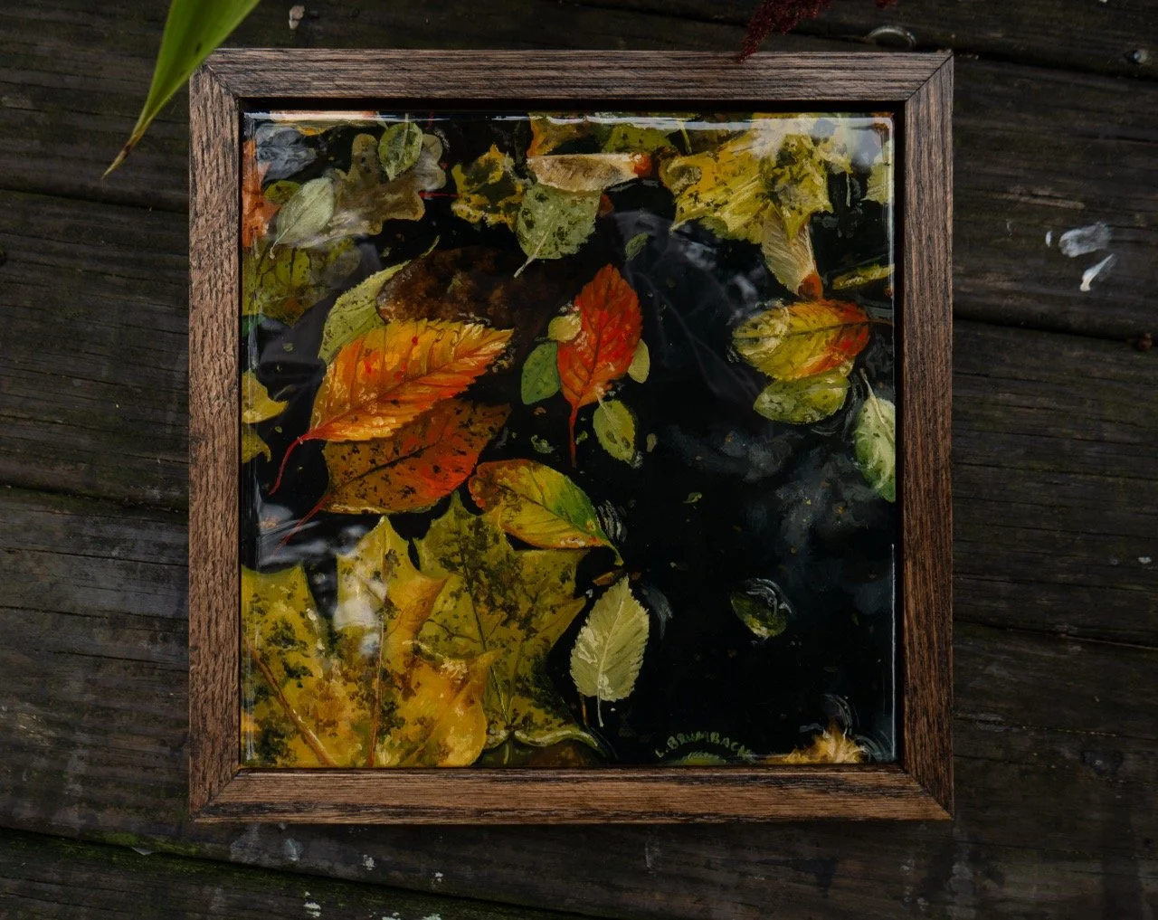 Floating Fall Leaves