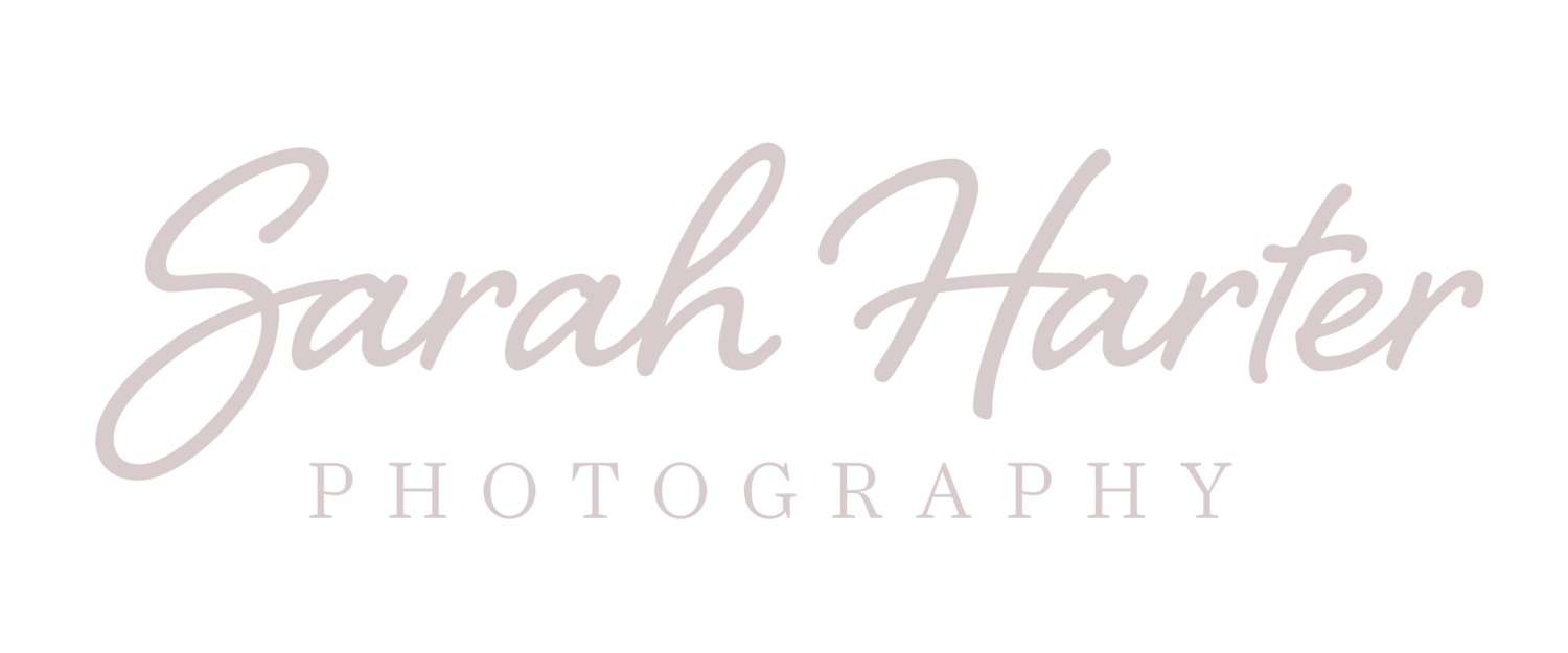 Sarah Harter Photography